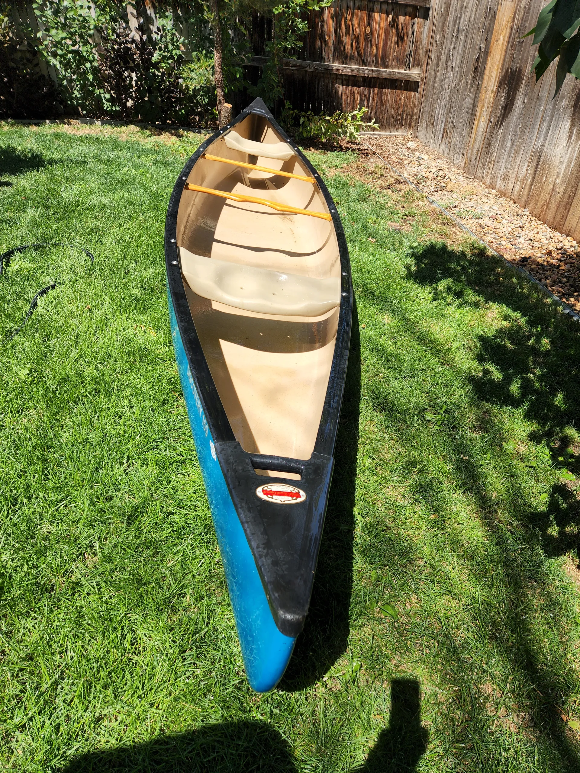 17' Canoe fits 4 people and 2 small dogs