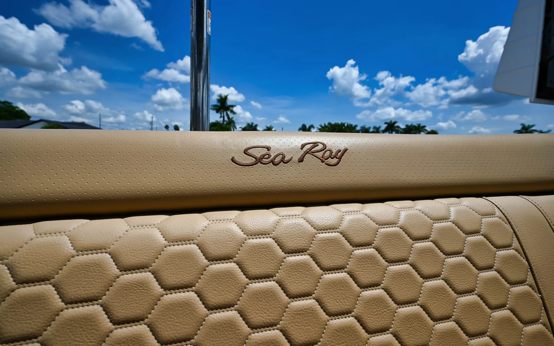 Sea Ray SDX 270 350HP up to 14 People