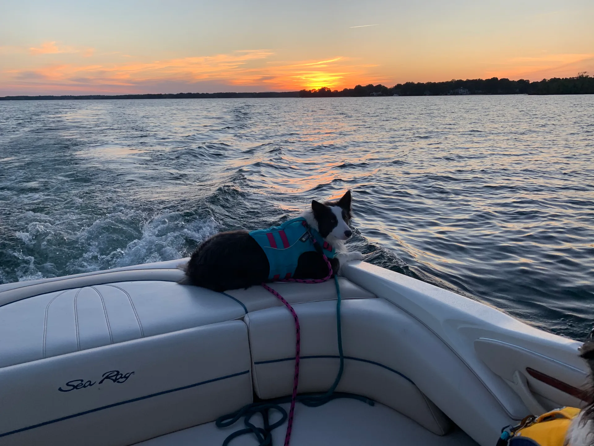 Sea Ray Boats 230 Sundancer in Cornelius, NC — photo 2