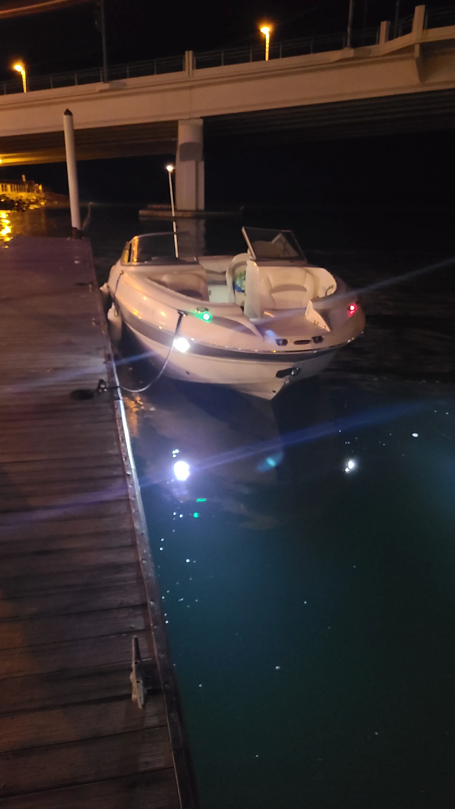 Stingray Boats 235LR Open Bow in St. Petersburg, FL — photo 3