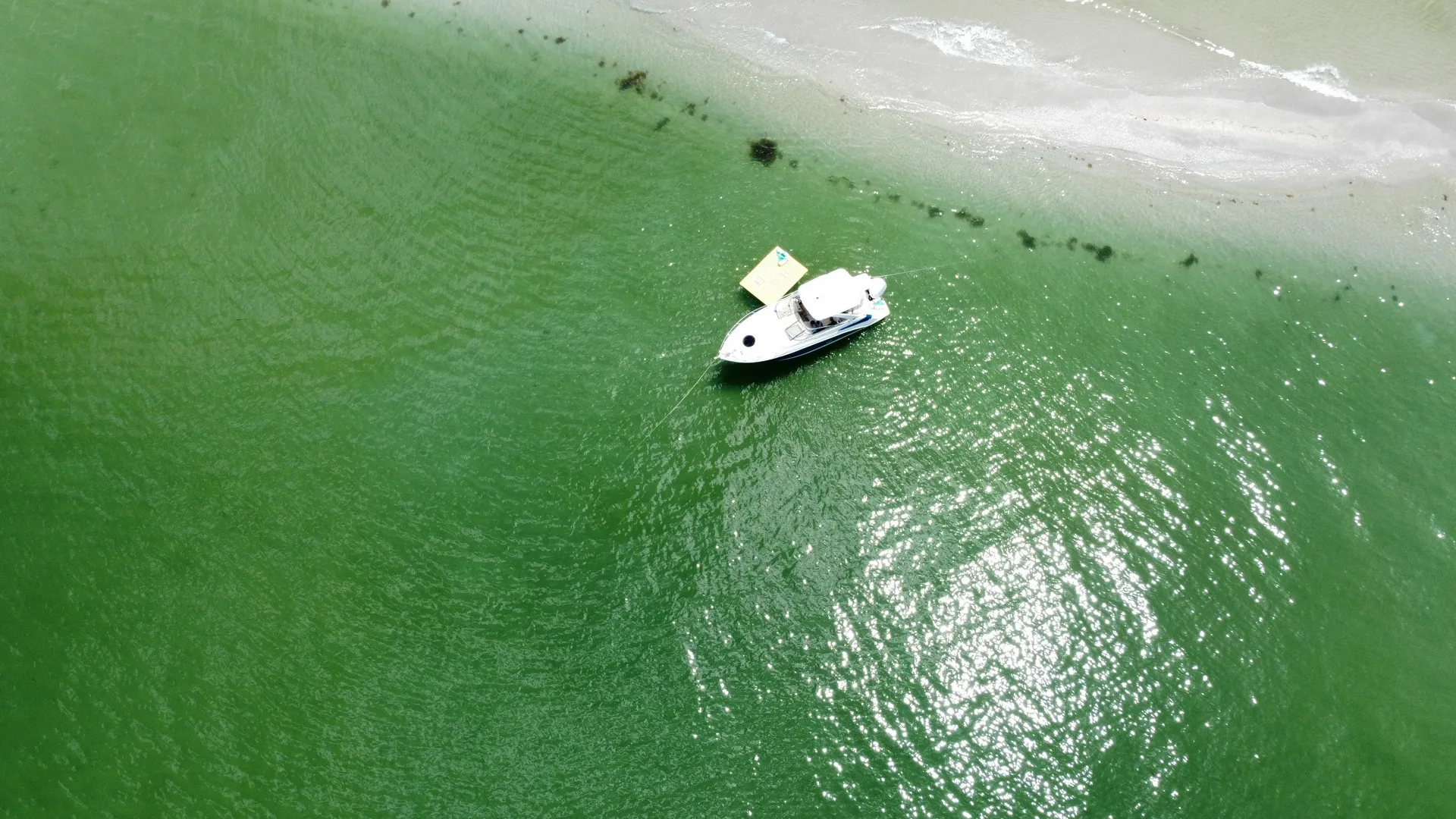 Regal 26 XO in Cape Coral, FL — photo 3