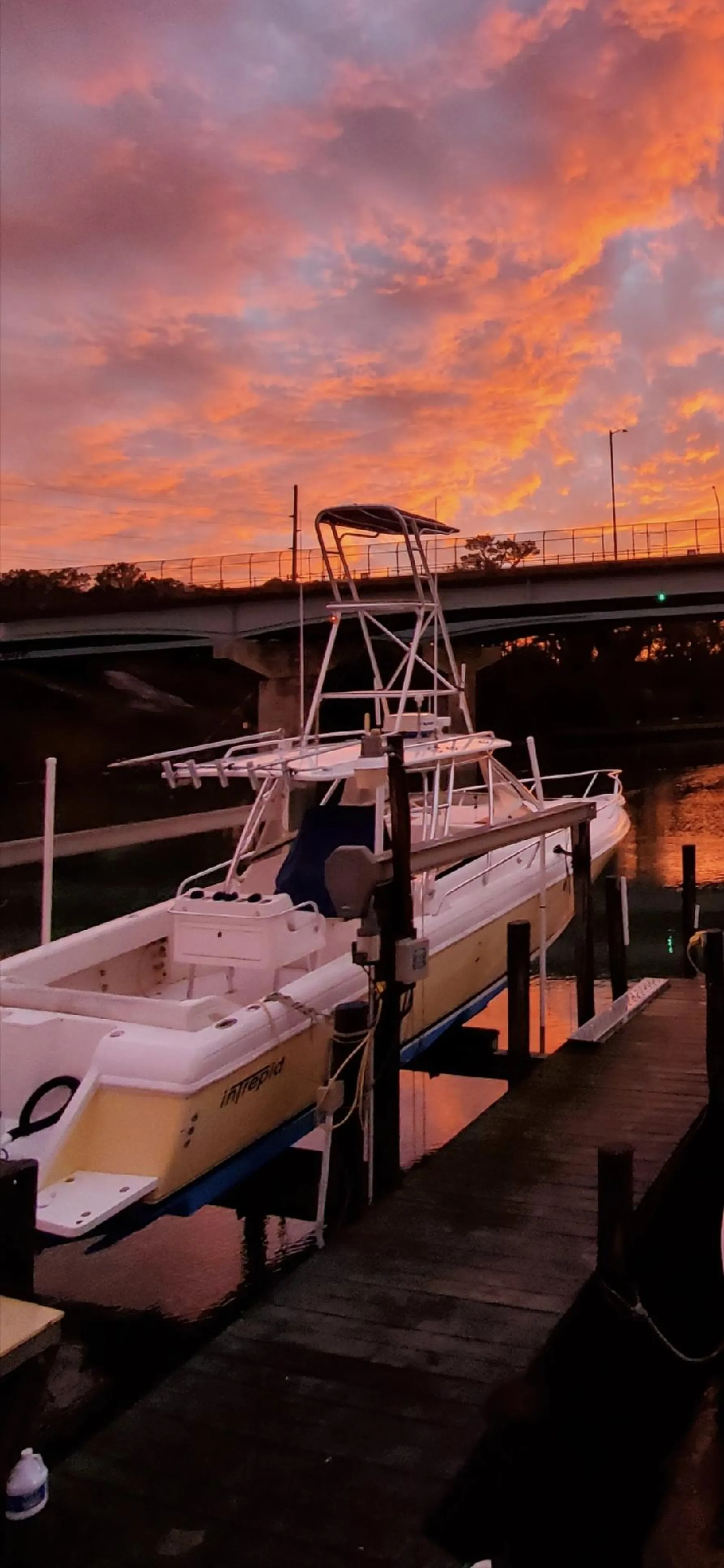 Intrepid 350 Walkaround w/ bathroom