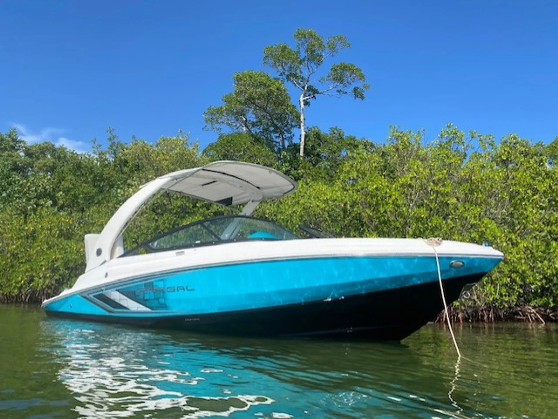 boat