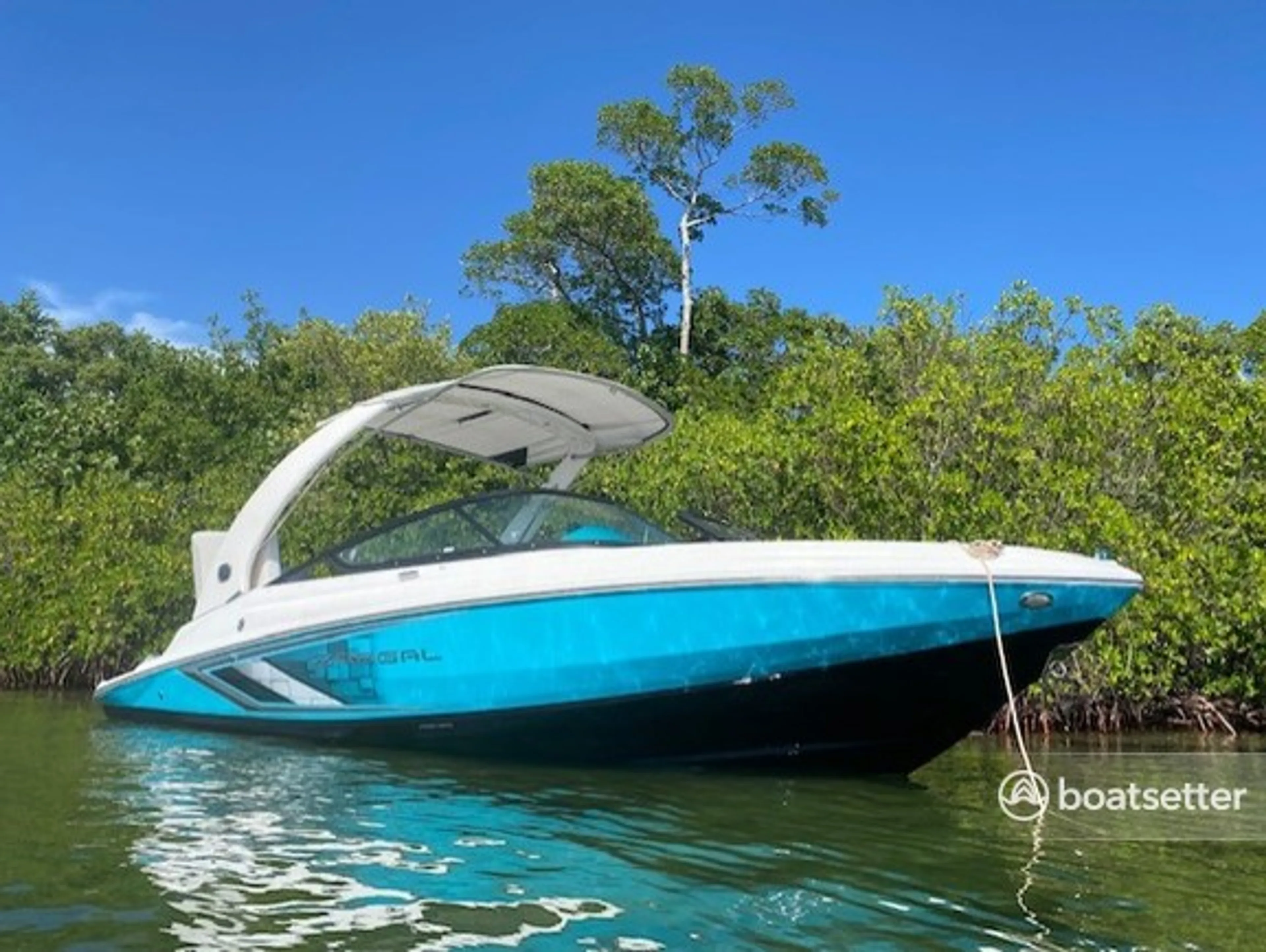 boat