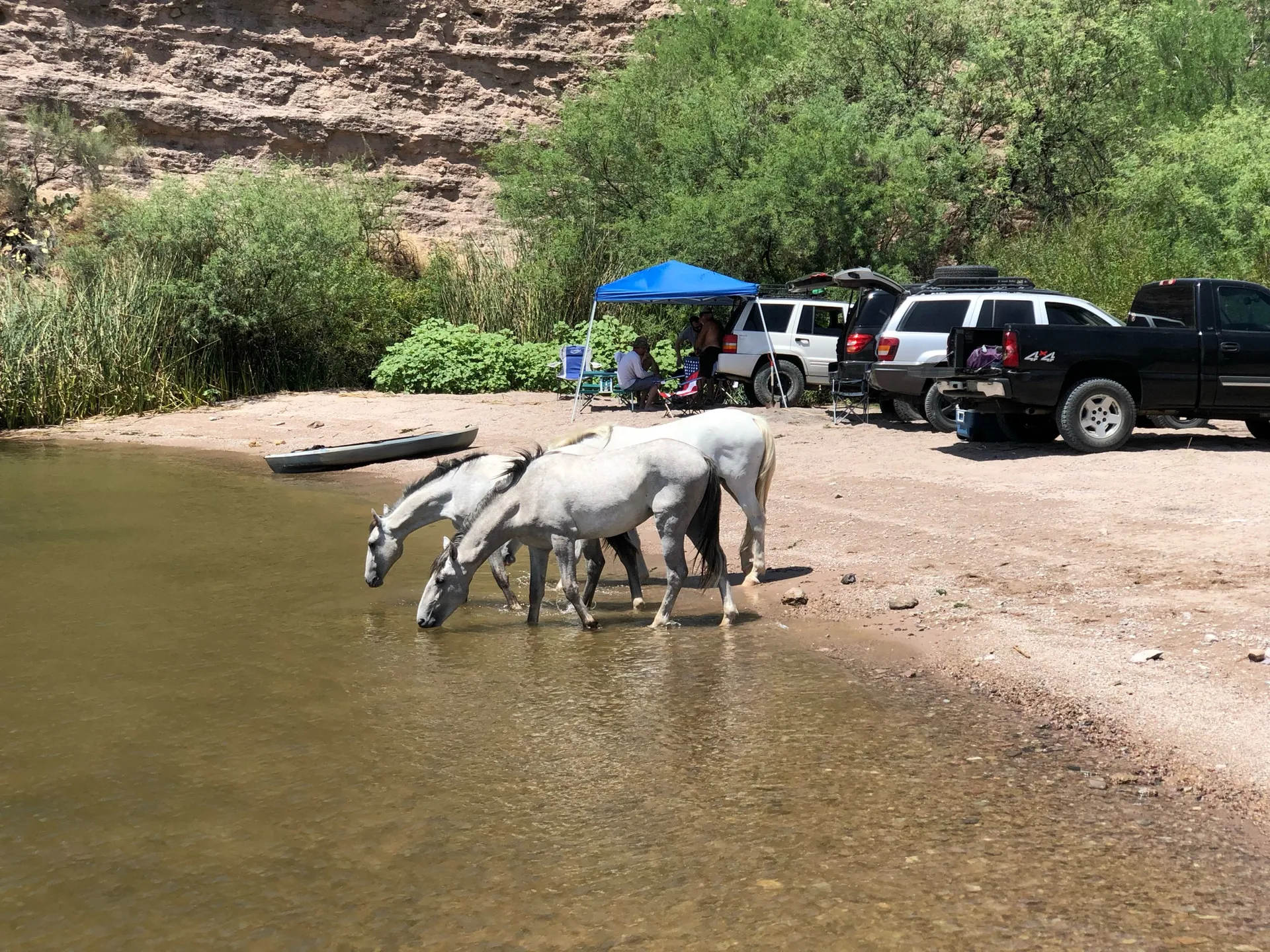 SUN TRACKER PARTY BARGE 22 DLX in Apache Junction, AZ — photo 9