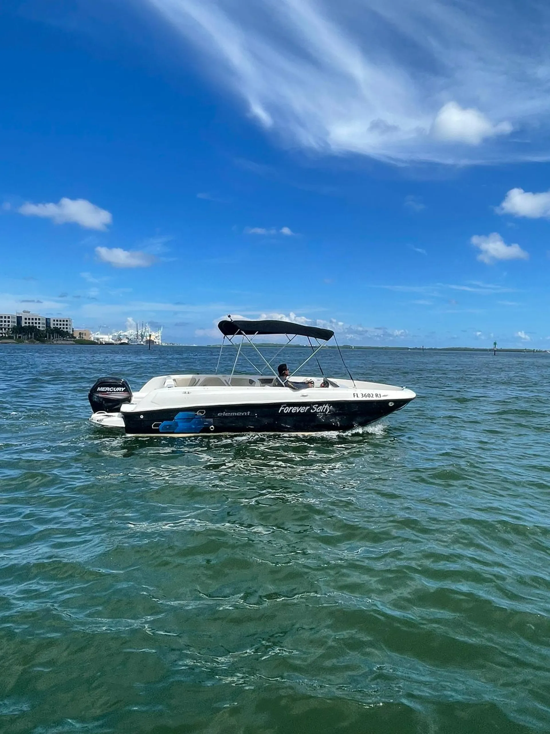 Bayliner Element E21 with 115 HP Engine in Miami, FL — photo 10