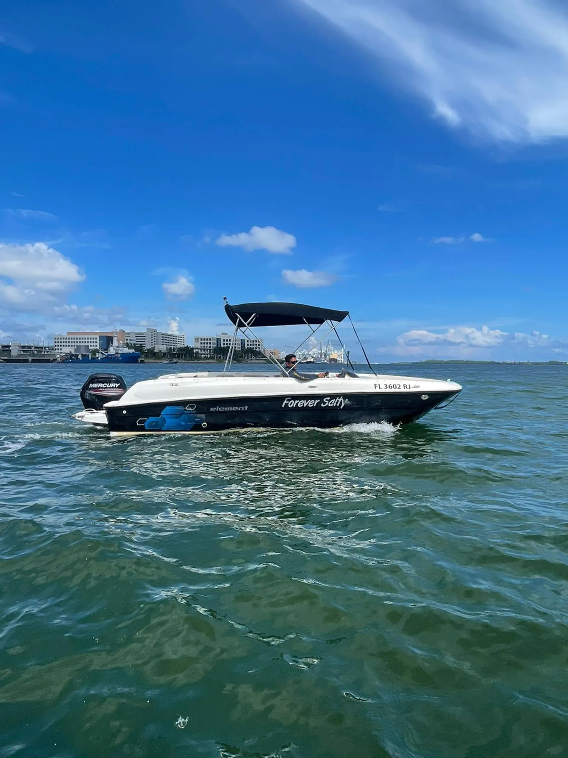 Bayliner Element E21 with 115 HP Engine in Miami, FL — photo 9