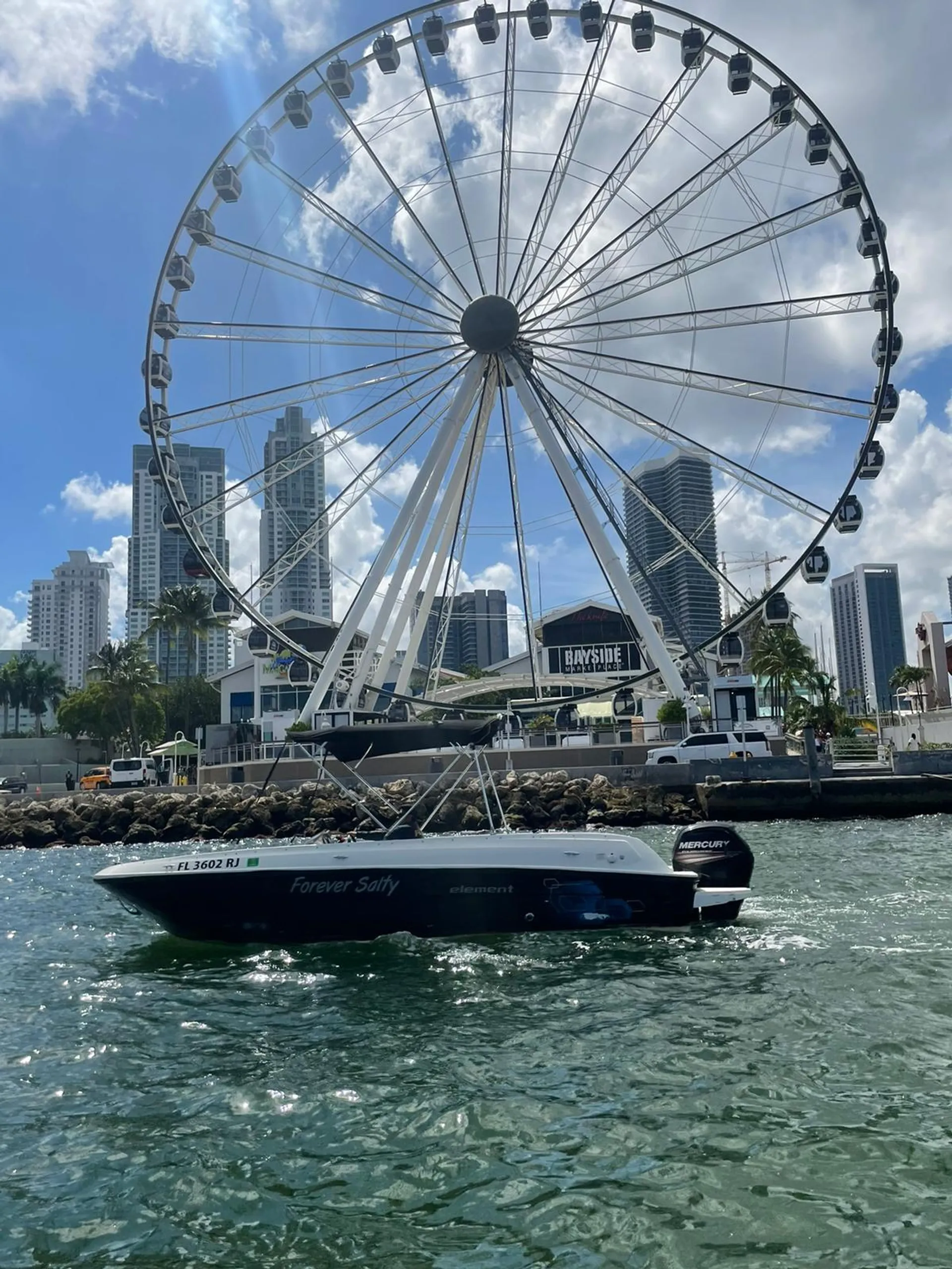 Bayliner Element E21 with 115 HP Engine in Miami, FL — photo 8