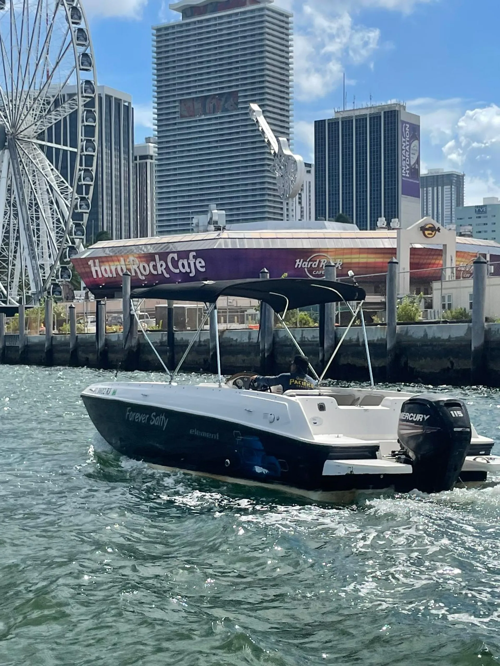 Bayliner Element E21 with 115 HP Engine in Miami, FL — photo 7