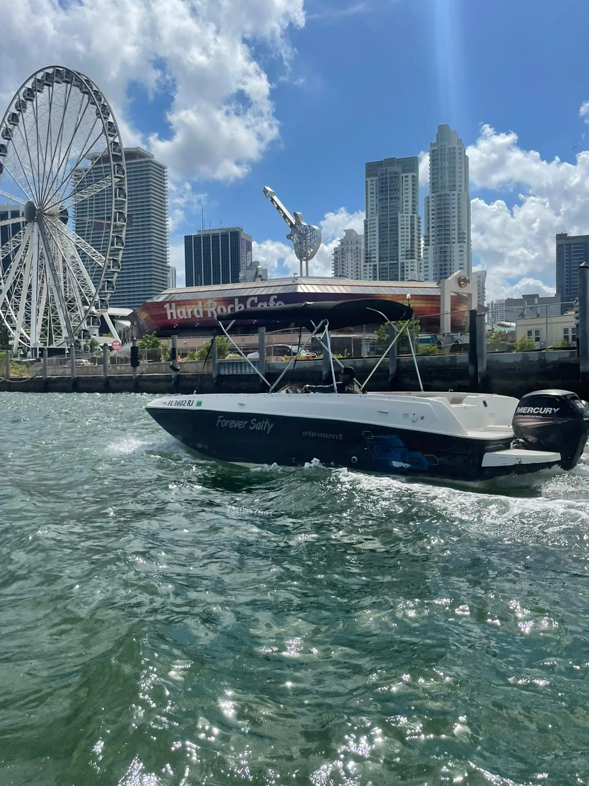 Bayliner Element E21 with 115 HP Engine in Miami, FL — photo 2