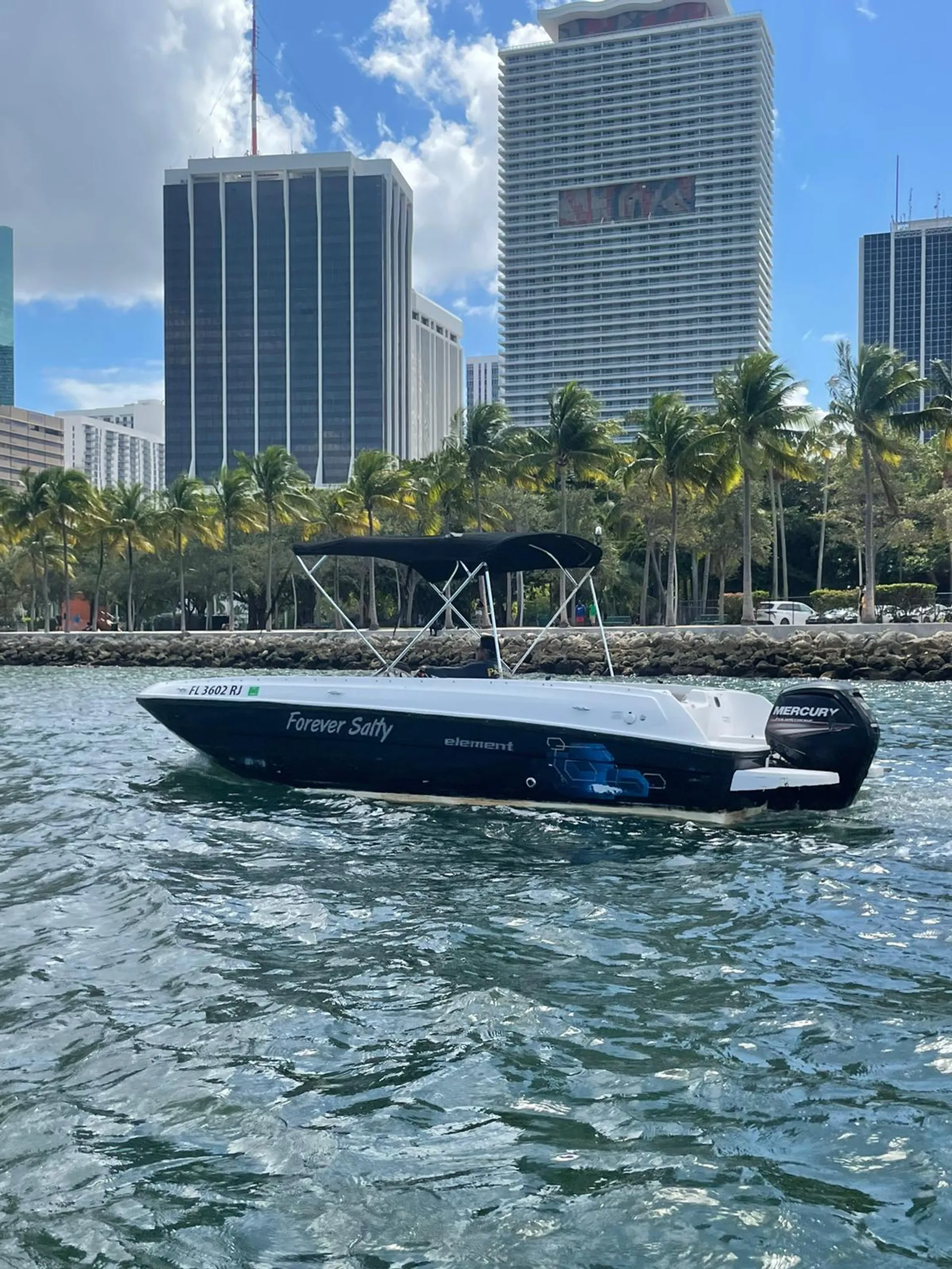 Bayliner Element E21 with 115 HP Engine in Miami, FL — photo 3