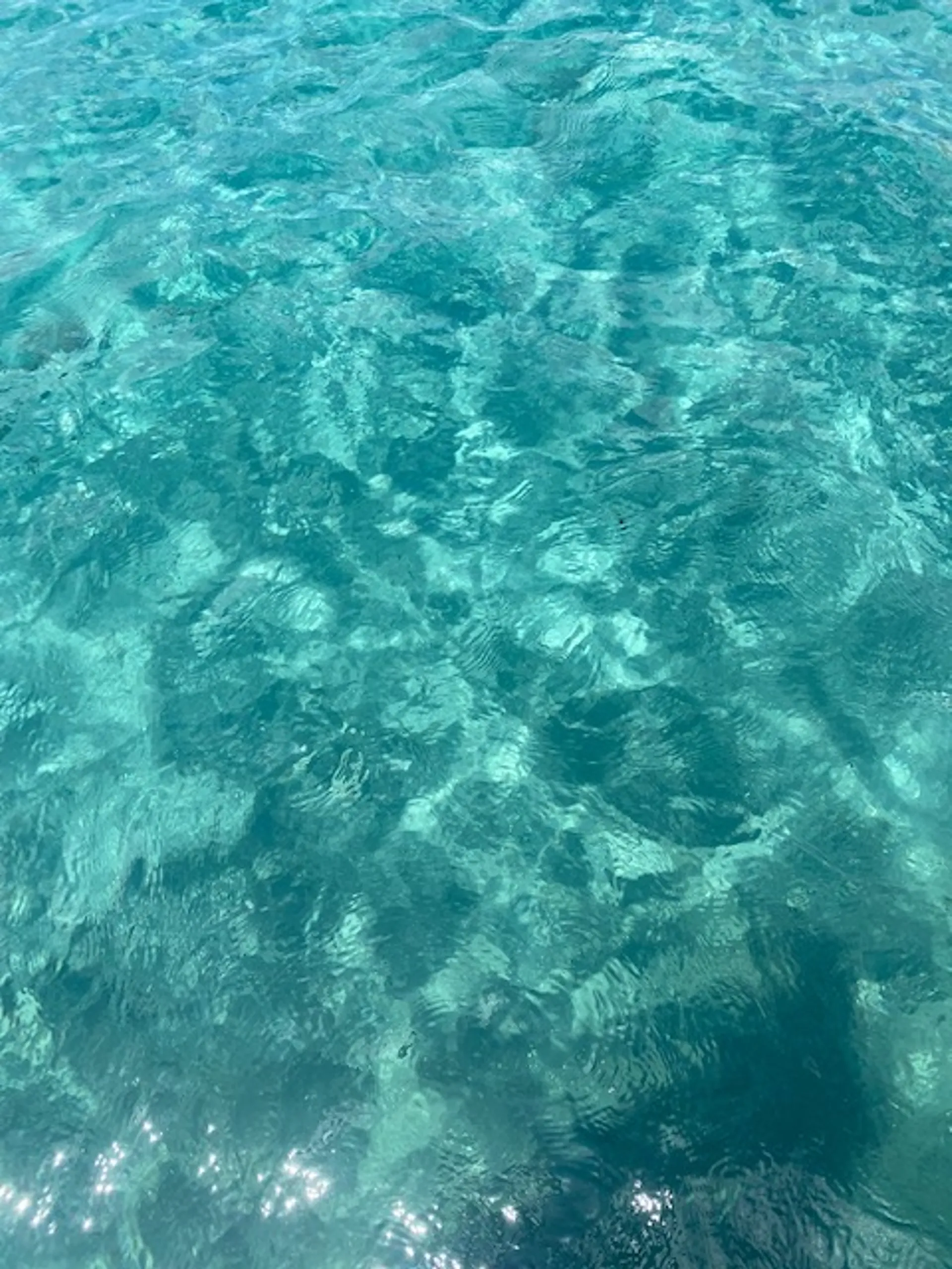 Regal 21 OBX in Deerfield Beach, FL — photo 7