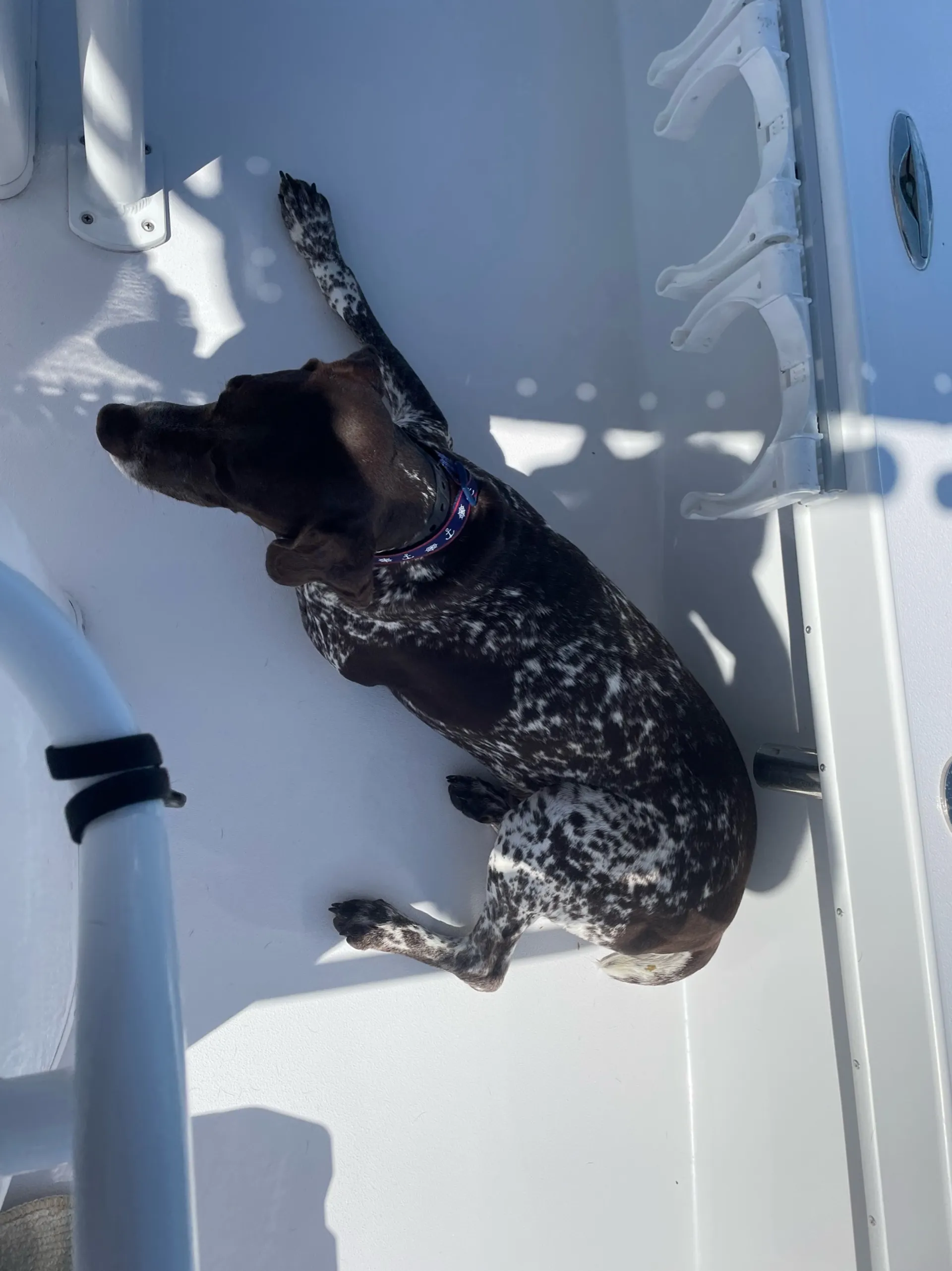 Hanson 23 in St. Petersburg, FL — photo 10