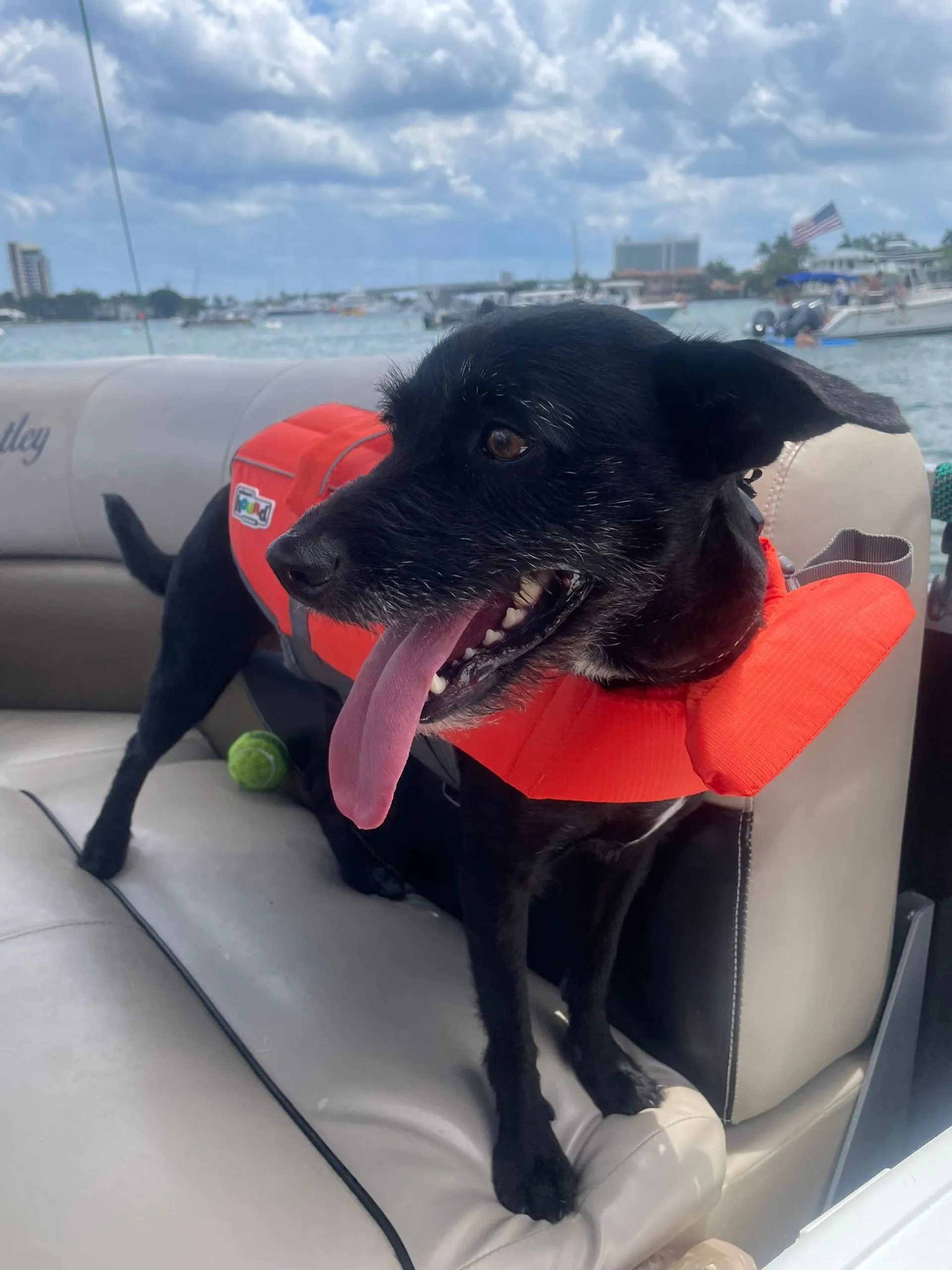 Comfortable and spacious 28’ Pontoon 