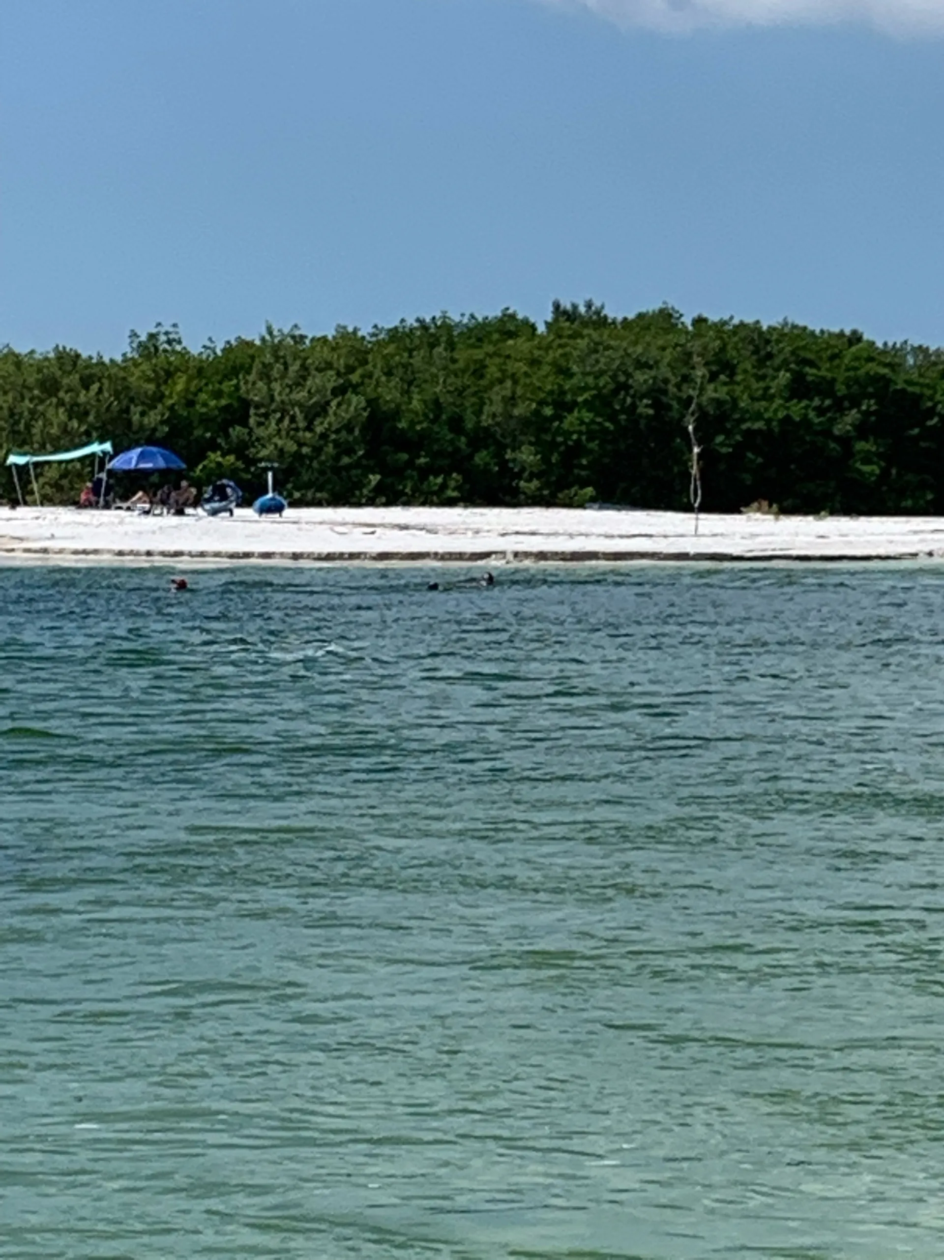  Aquatic Adventure from Downtown Saint Petersburg