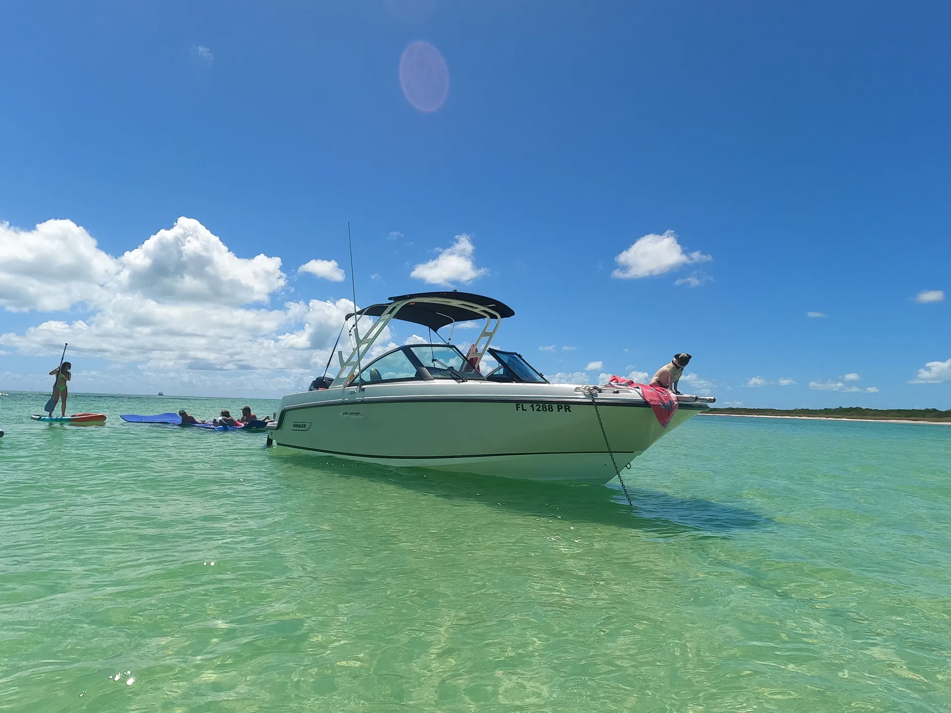 Salty Sandbars Key West Captain / fuel included 