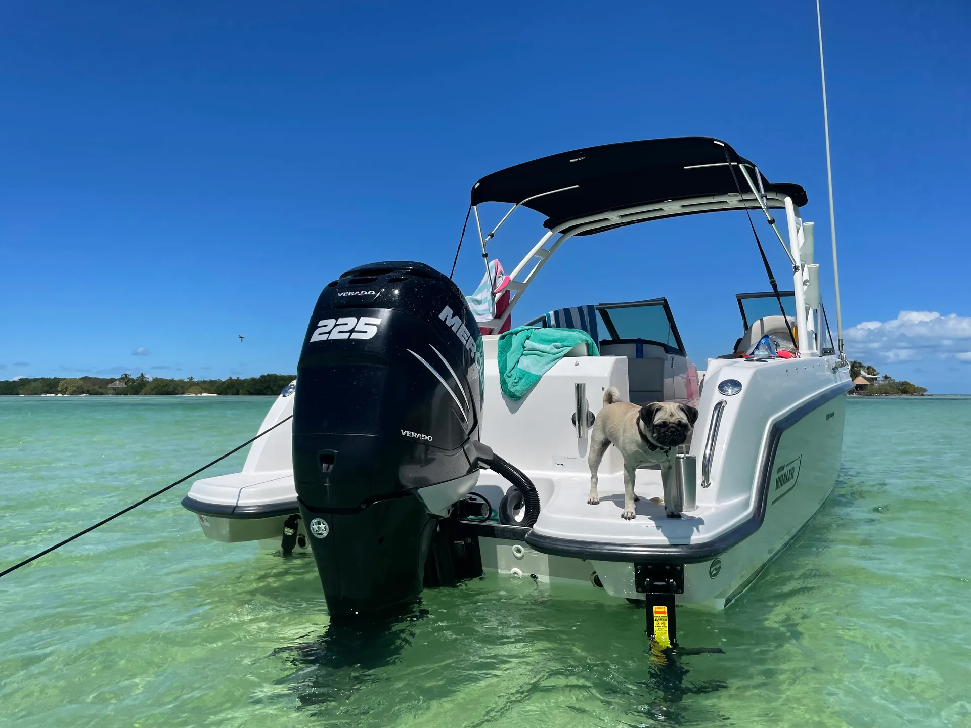 Salty Sandbars Key West Captain / fuel included 