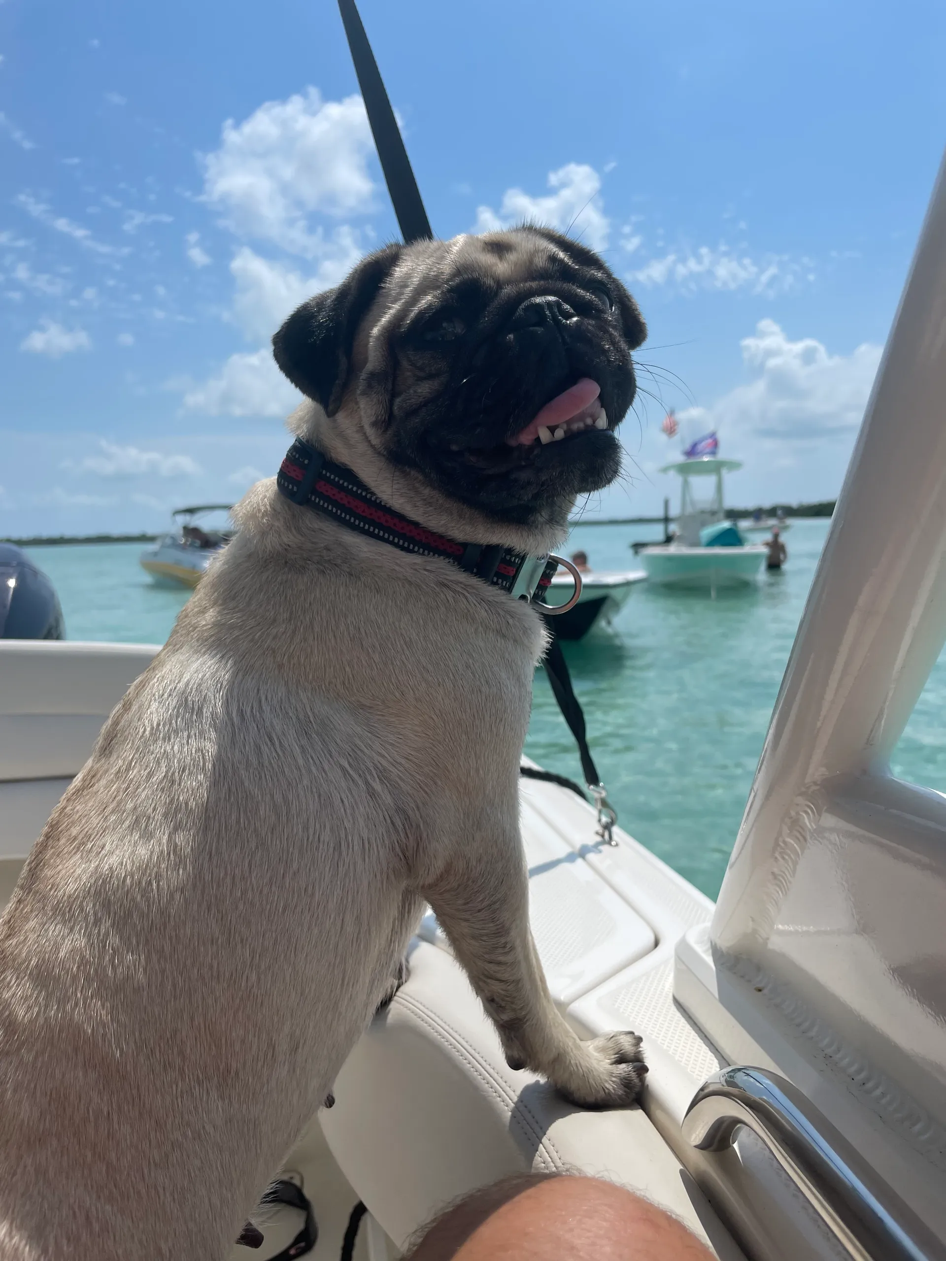 Salty Sandbars Key West Captain / fuel included 