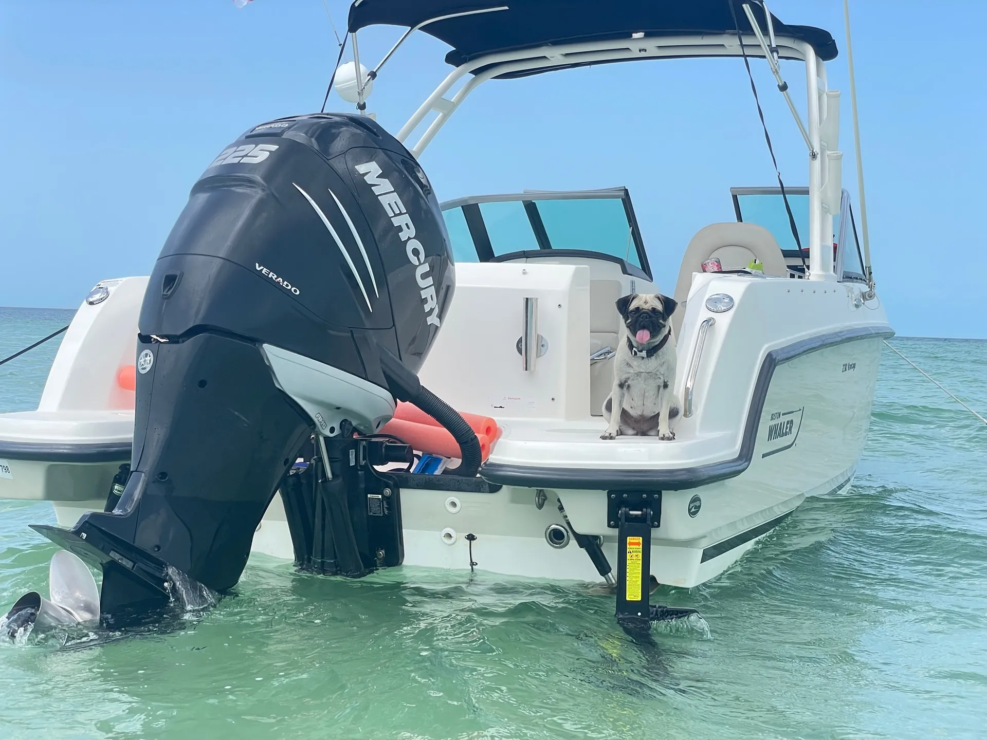 Salty Sandbars Key West Captain / fuel included 