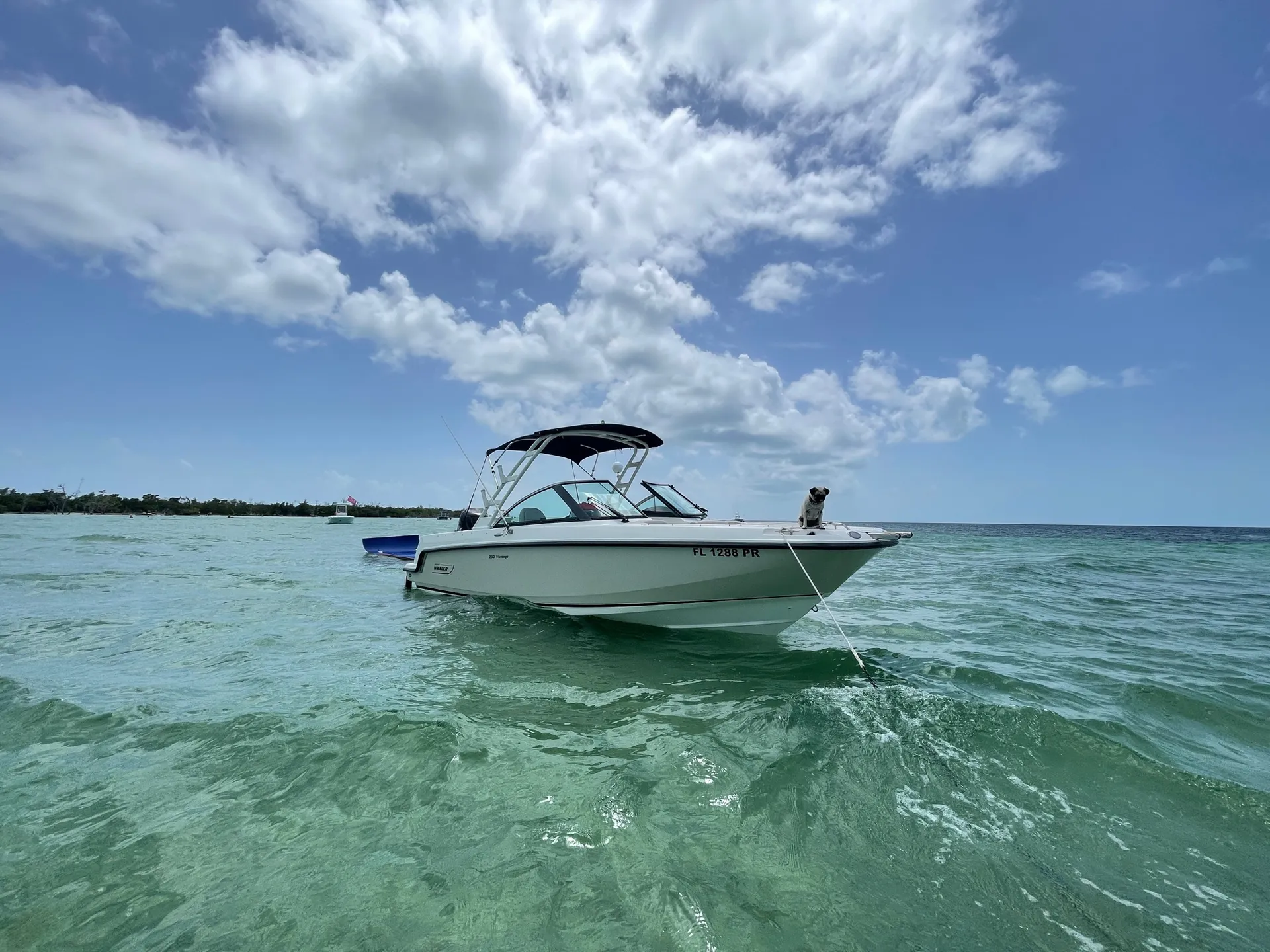 Salty Sandbars Key West Captain / fuel included 