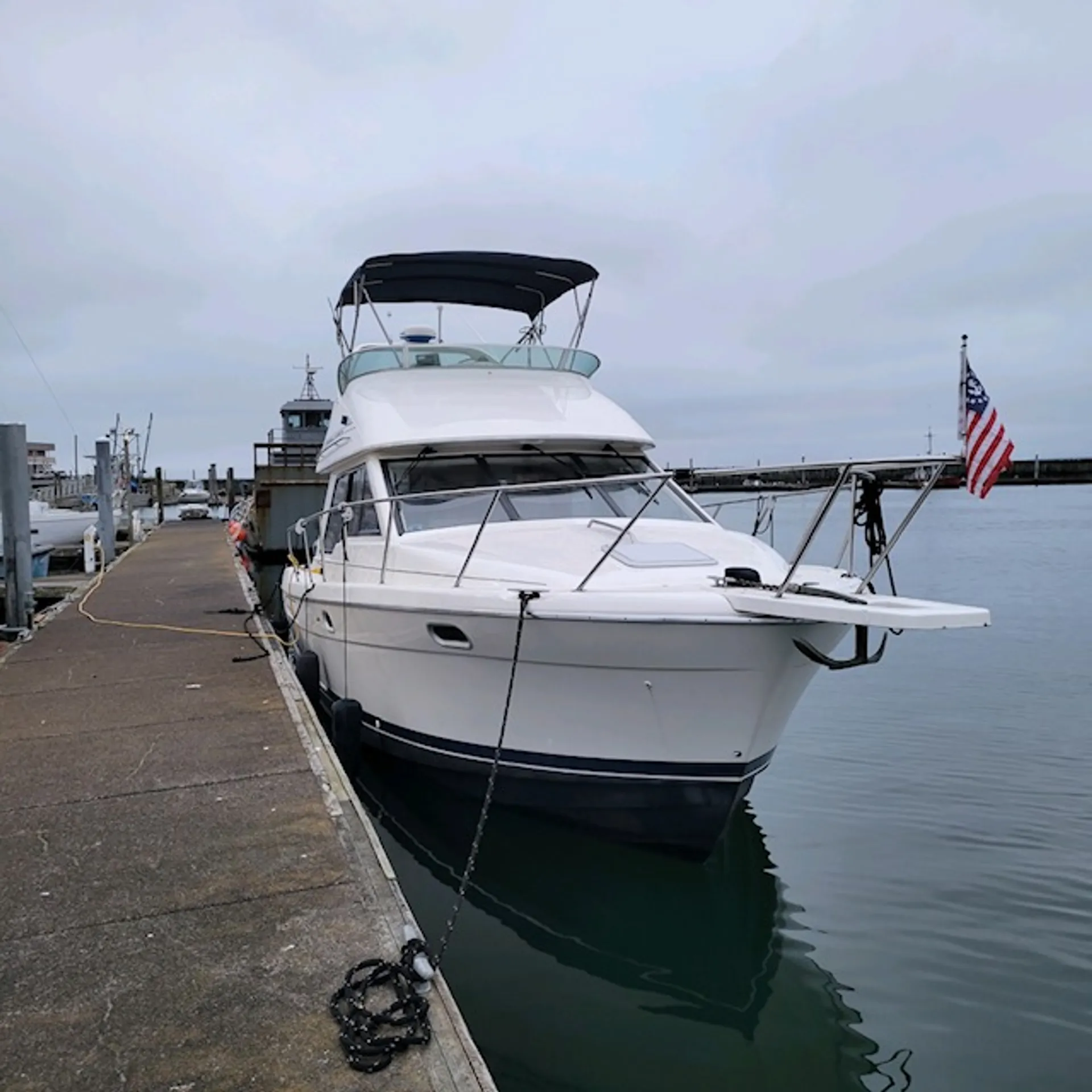 Bayliner 3388 Command Bridge MY in Bellingham, WA — photo 2