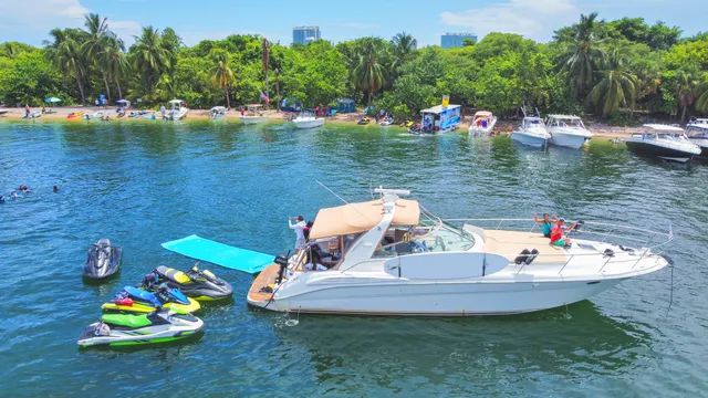 Rent a Sea Ray Boats motor yacht in Miami Beach, FL near me