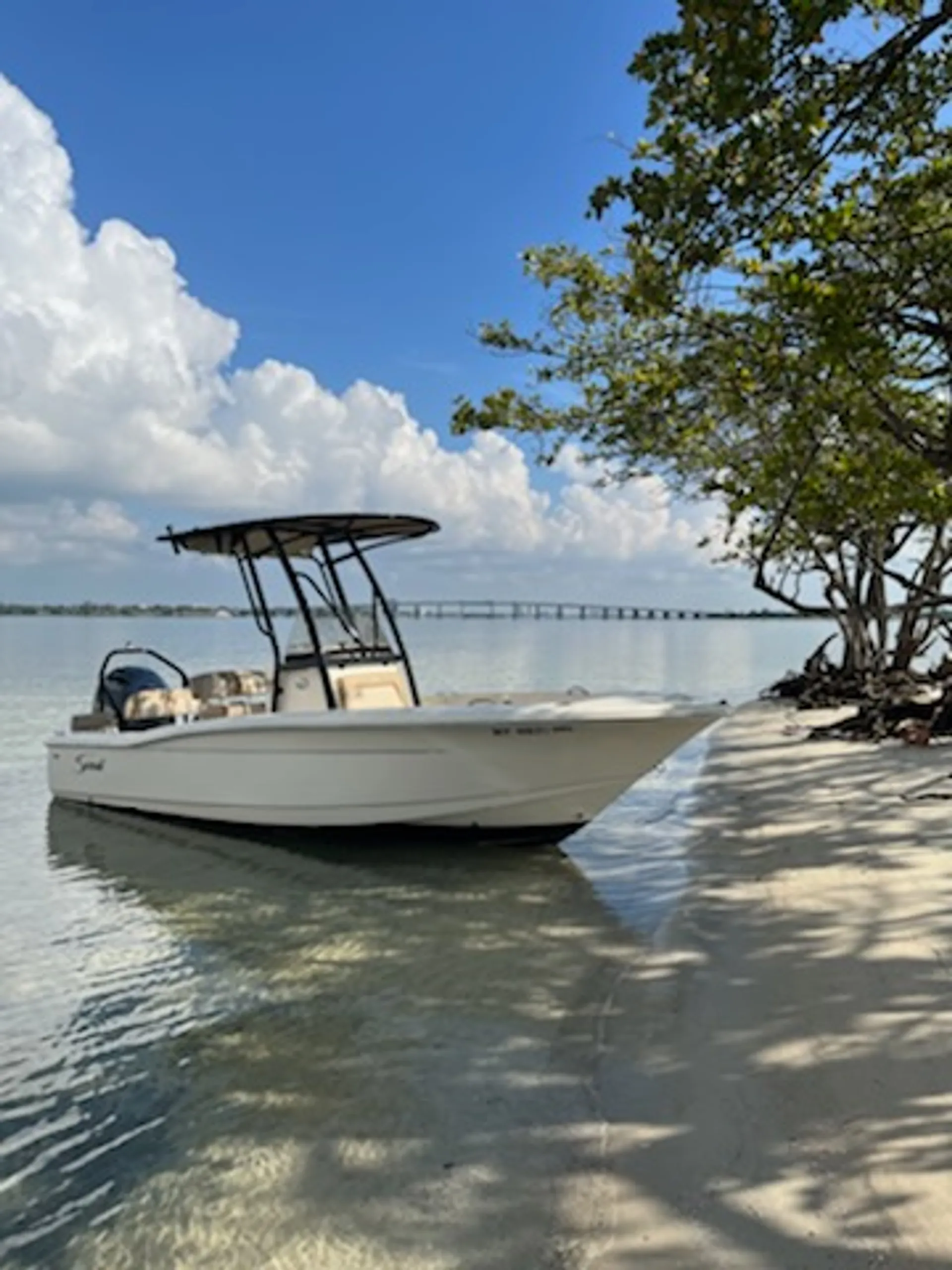 boat