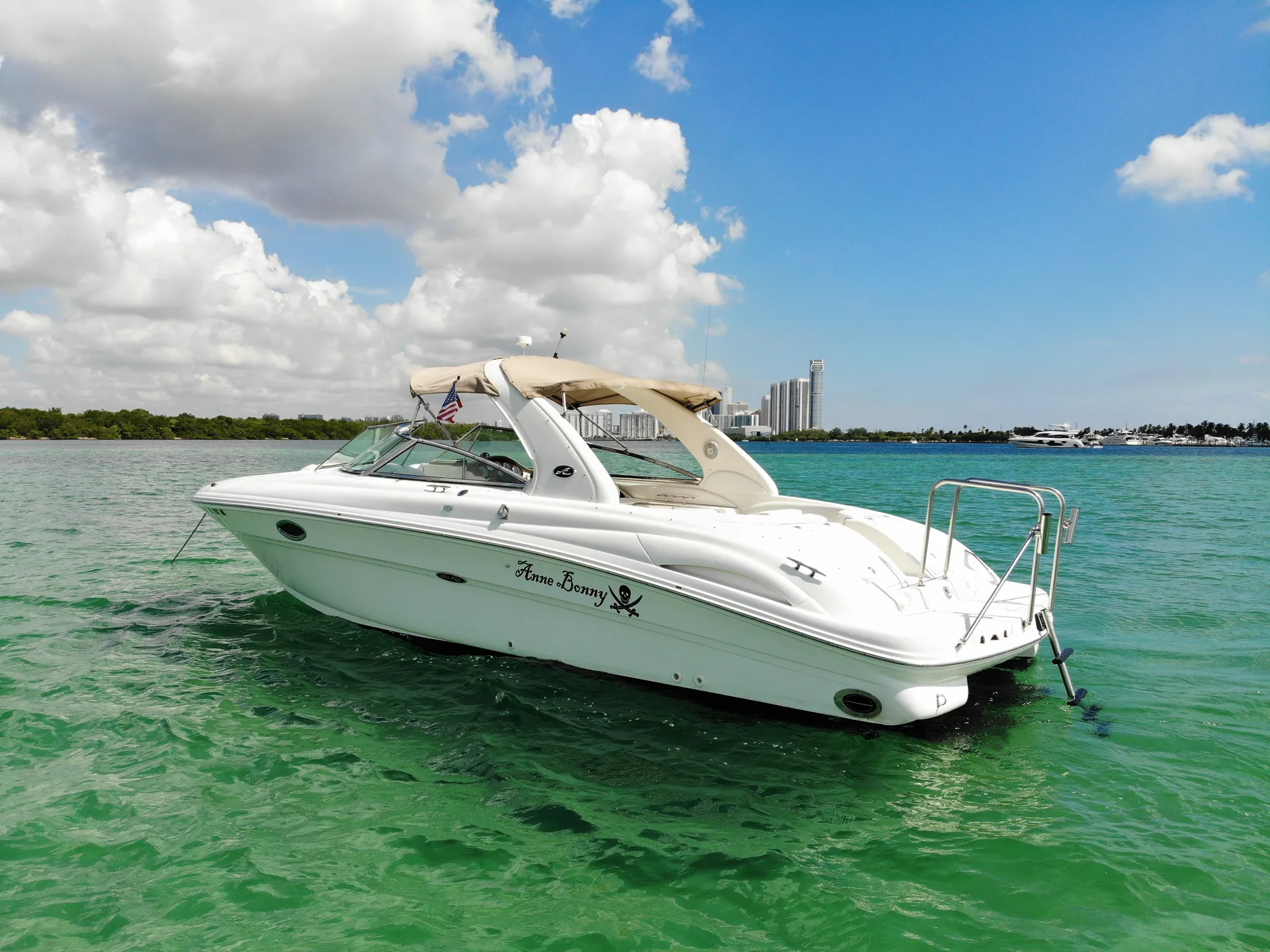 Sea Ray Boats 290 Bow Rider in Miami Beach, FL — photo 5