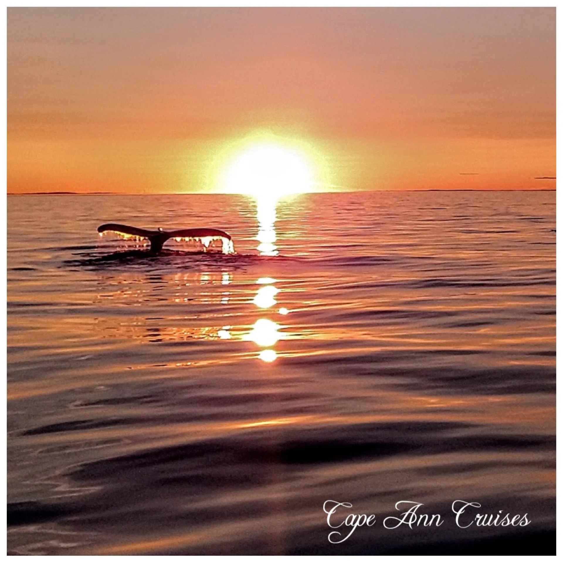 Custom Yacht for Party, Wedding, or Corporate Events - 46 Passenger