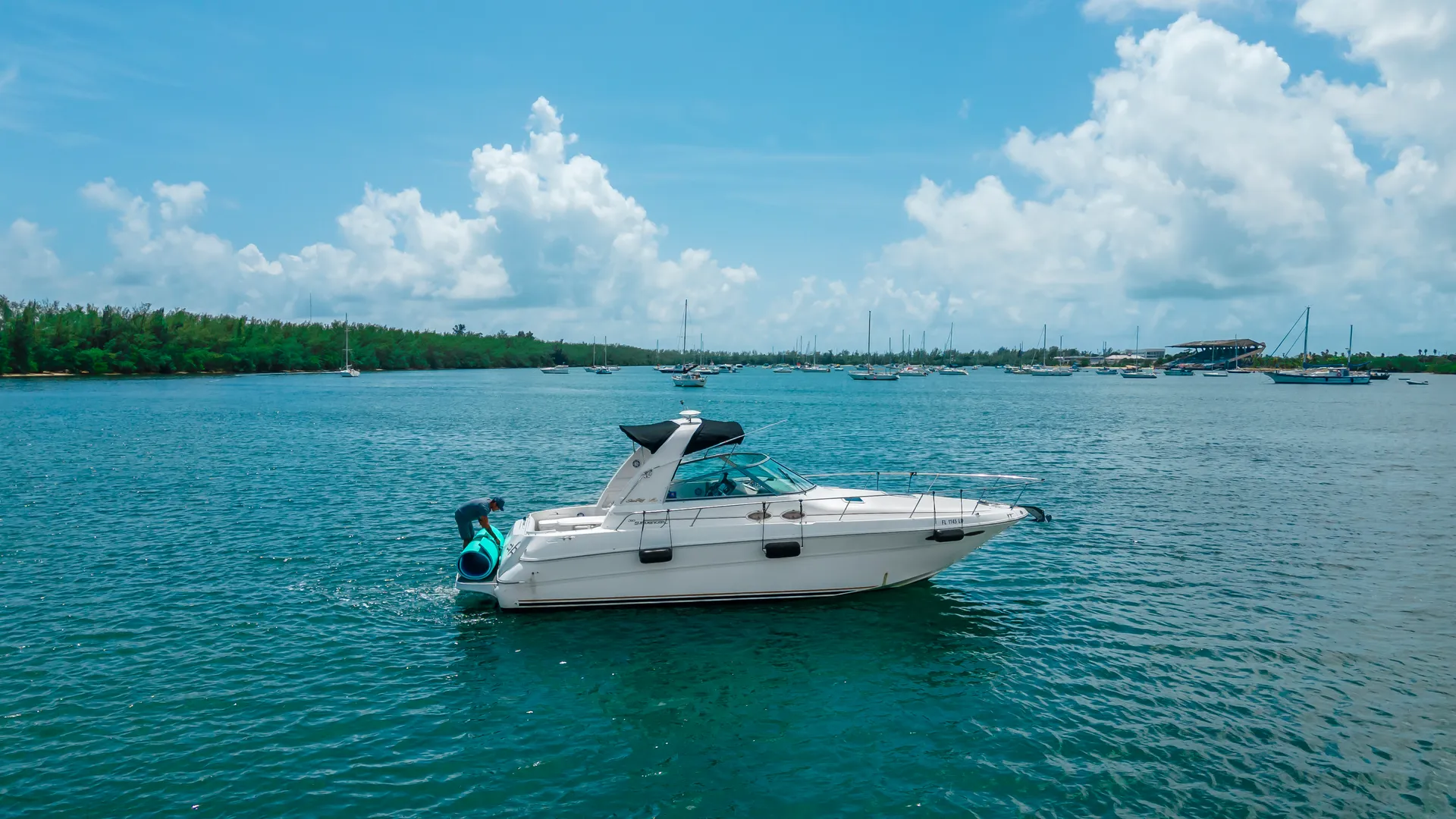 Sea Ray Boats 310 Sundancer in Miami, FL — photo 7
