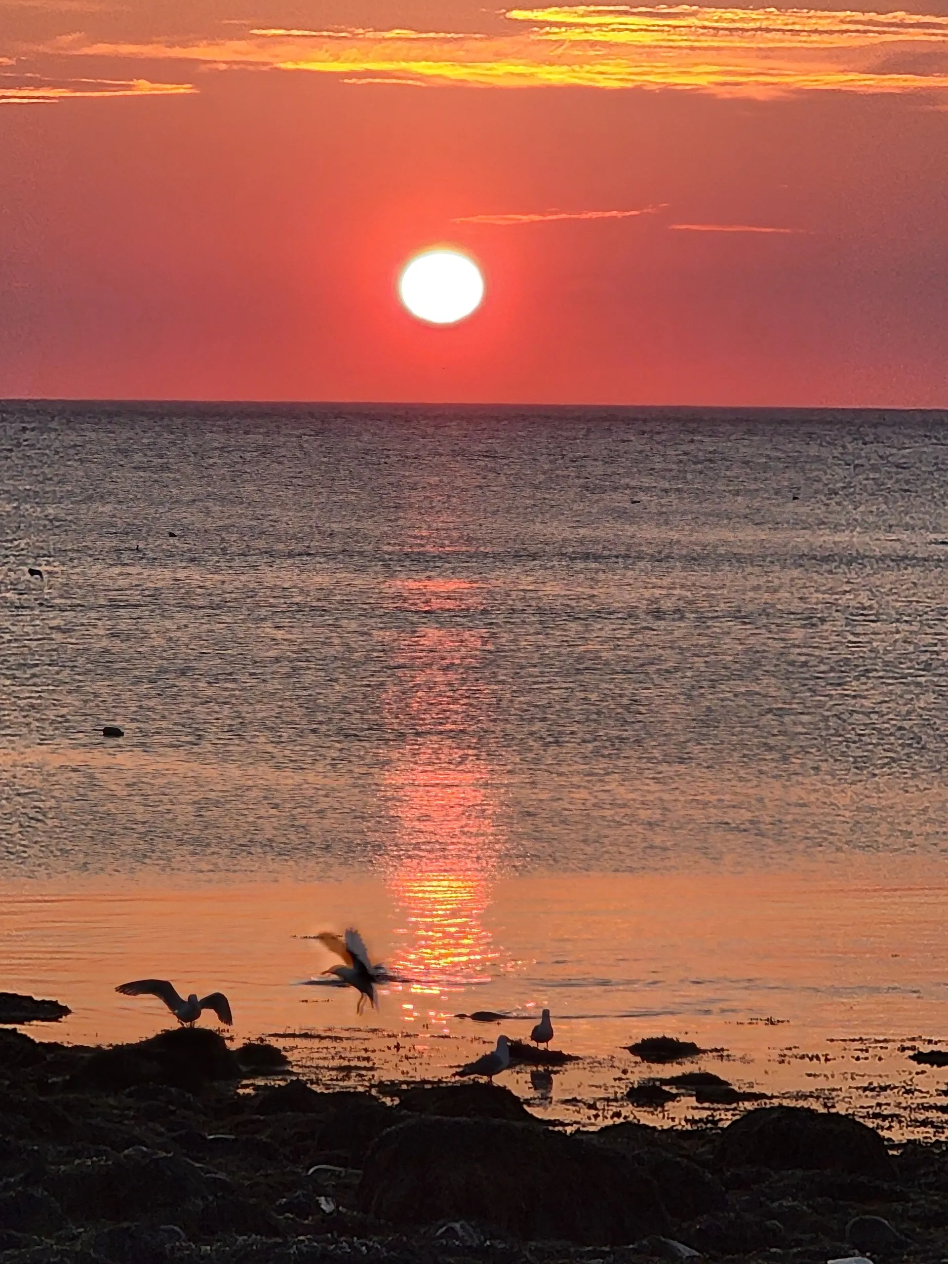 Custom Yacht for Party, Wedding, or Corporate Events - 46 Passenger