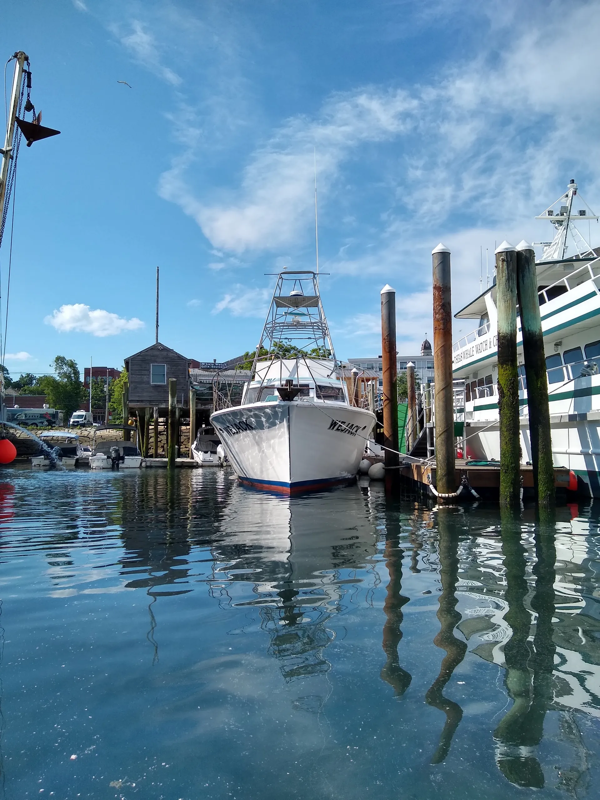 Custom Yacht for Party, Wedding, or Corporate Events - 46 Passenger