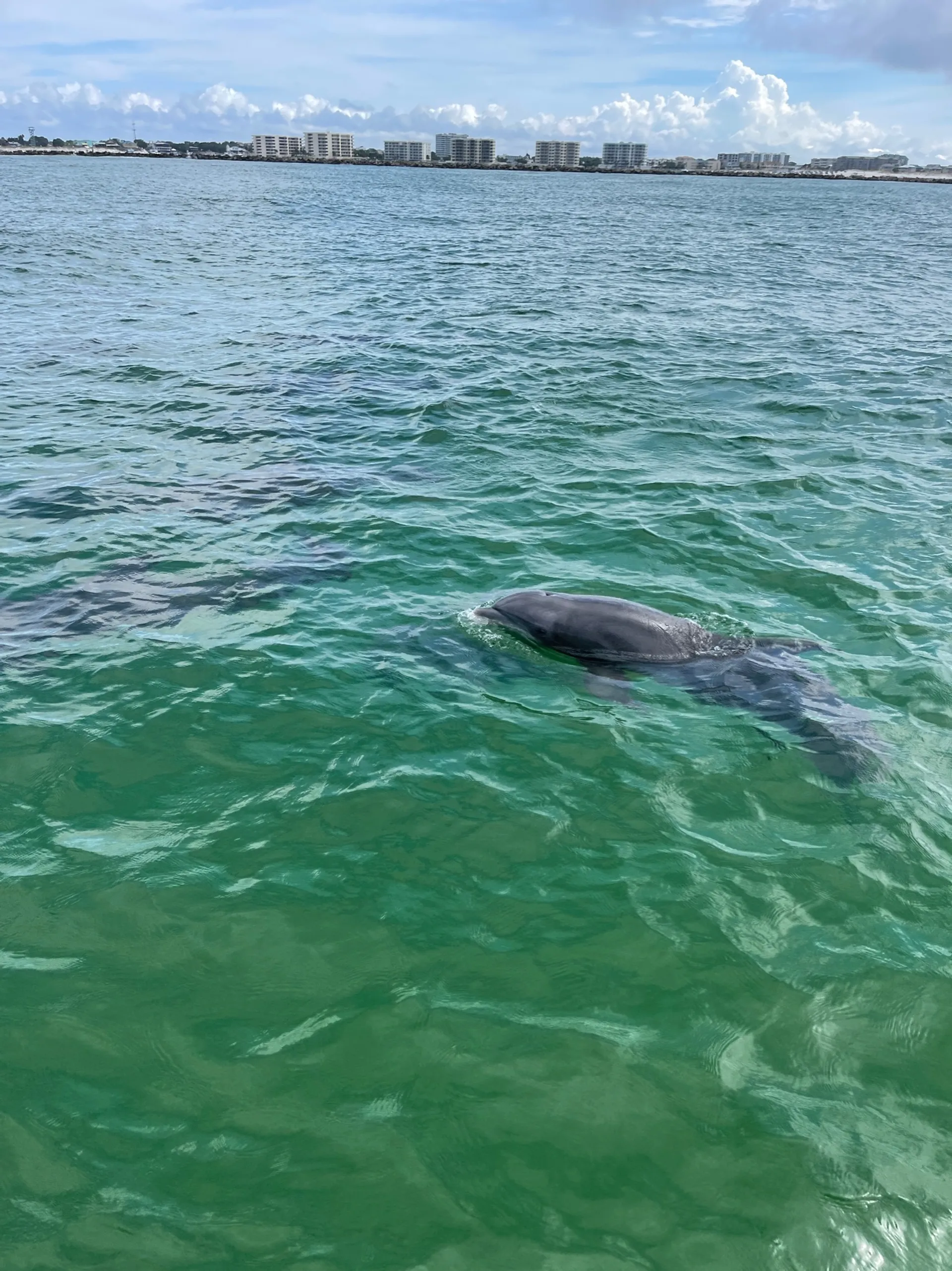 Harris Solstice 260 RD w Slide