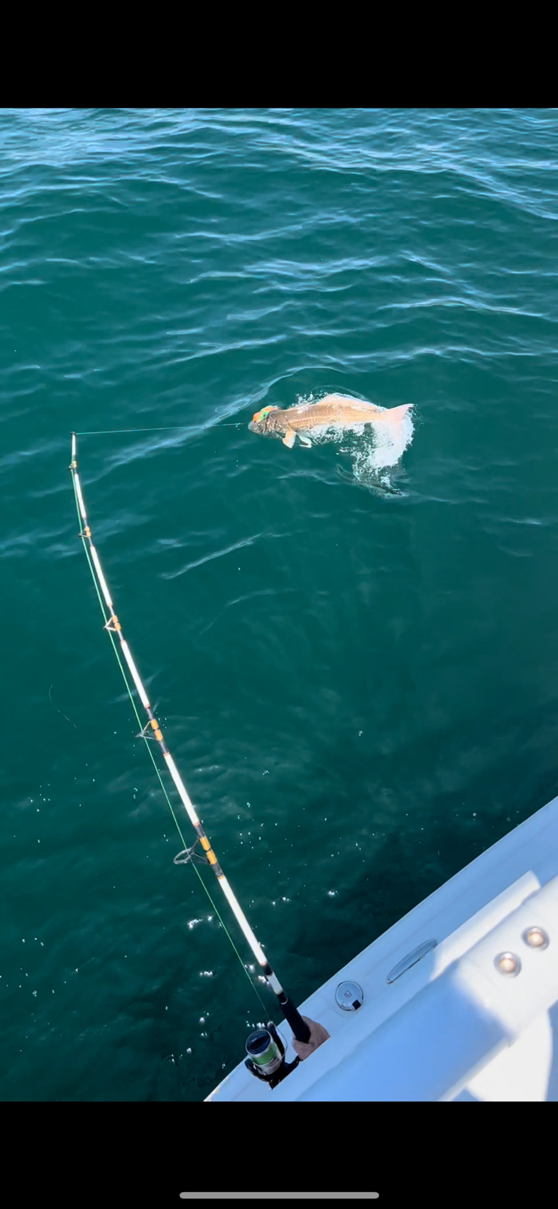 Tidewater 252 cc Adventure with tower