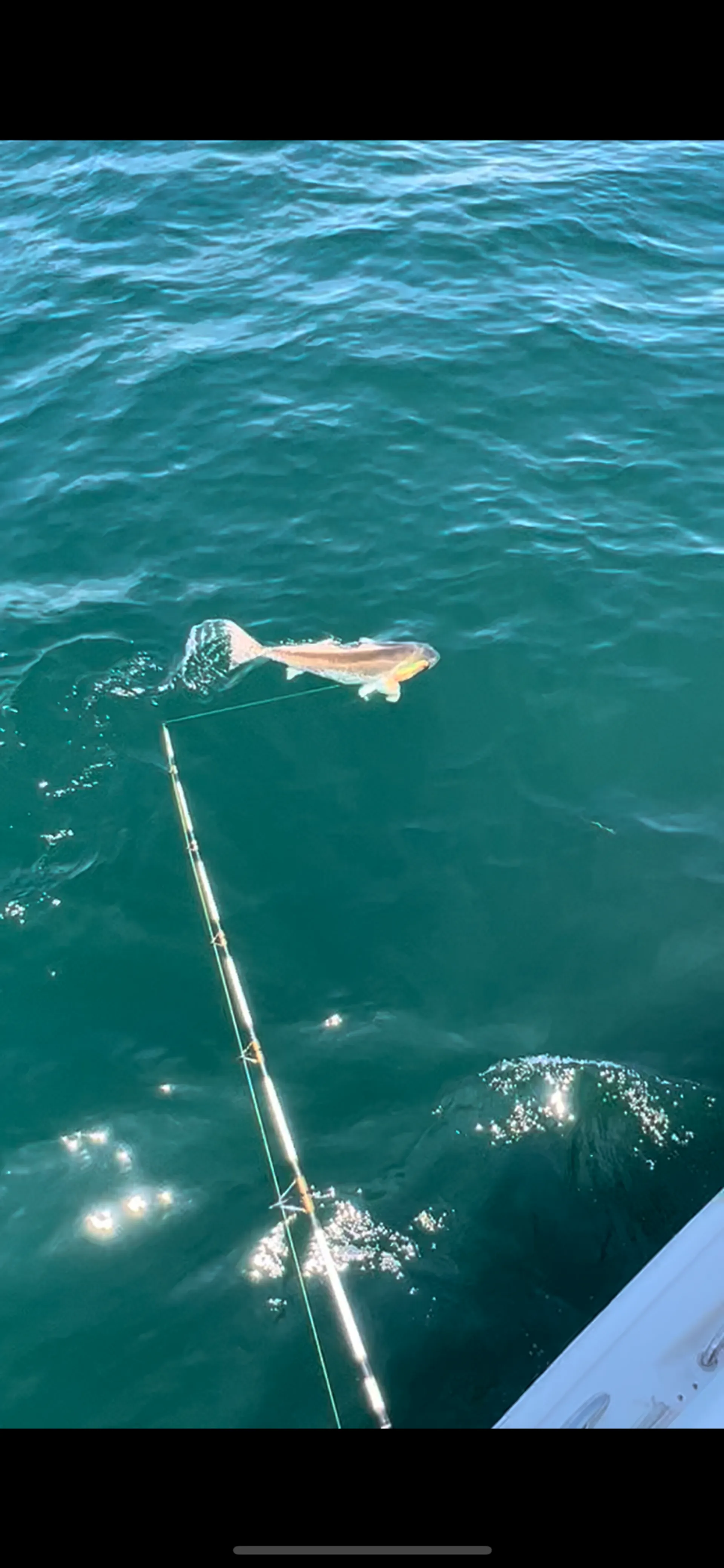 Tidewater 252 cc Adventure with tower