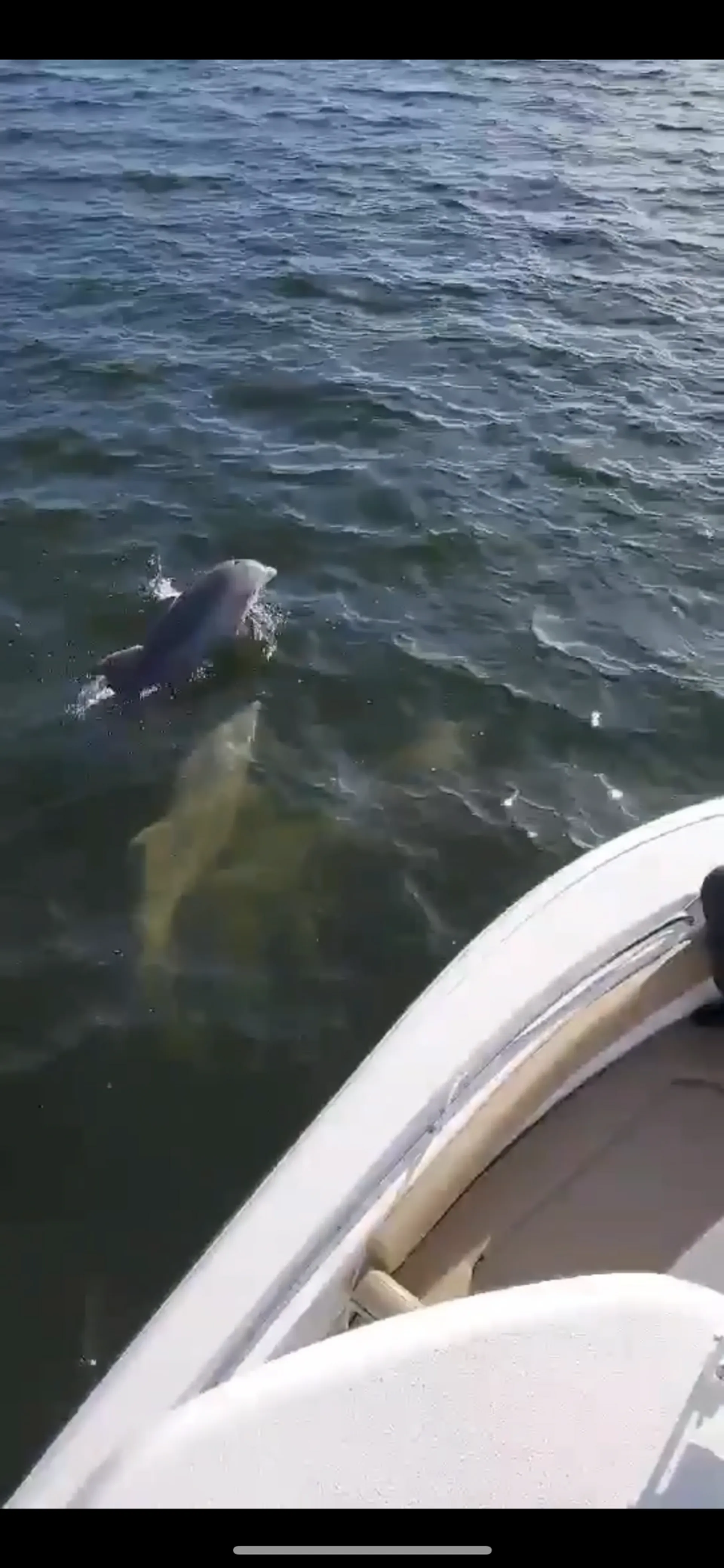 Tidewater 252 cc Adventure with tower