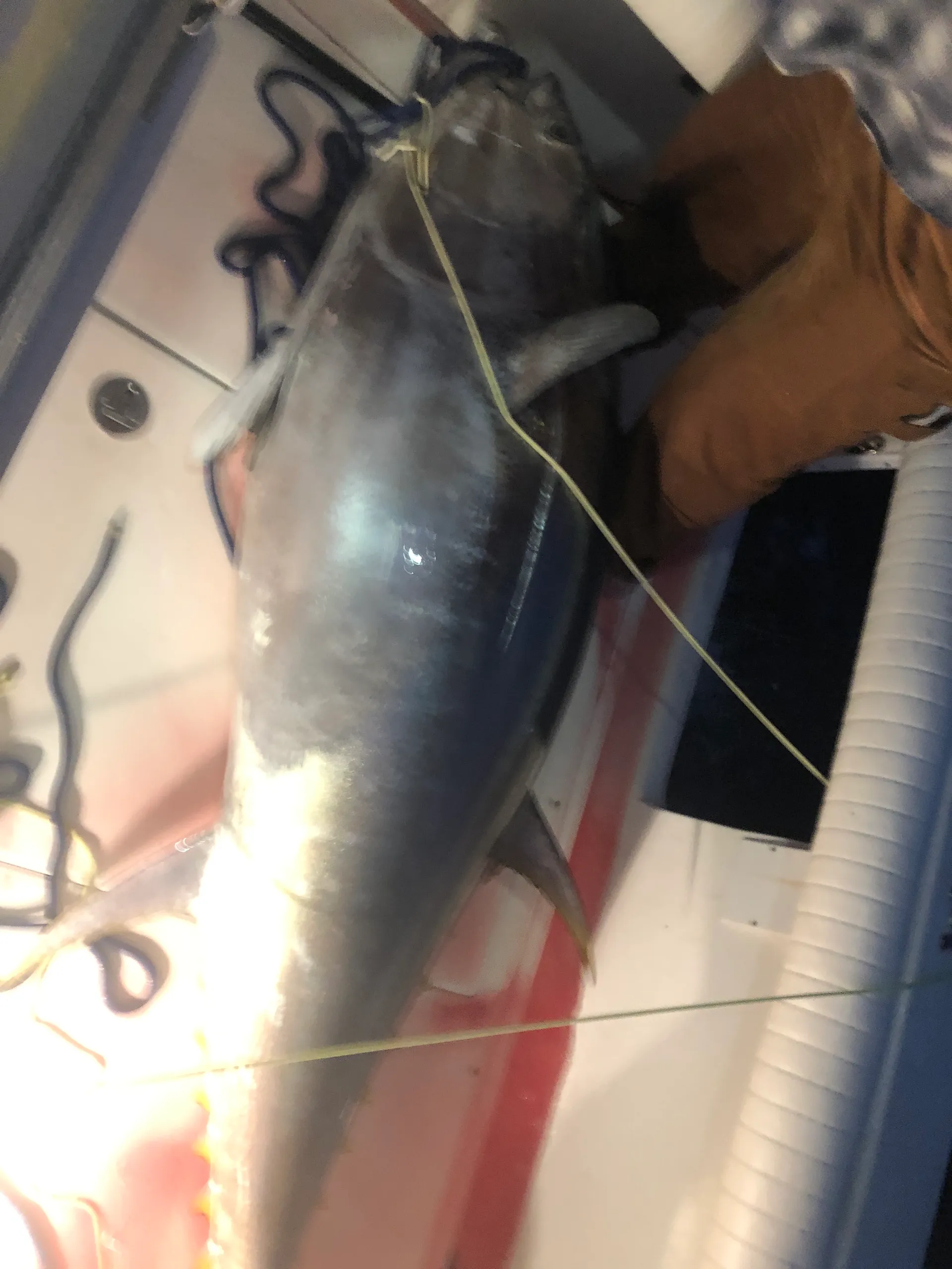 Albemarle Boats 310 Express Fisherman in Scituate, MA — photo 8