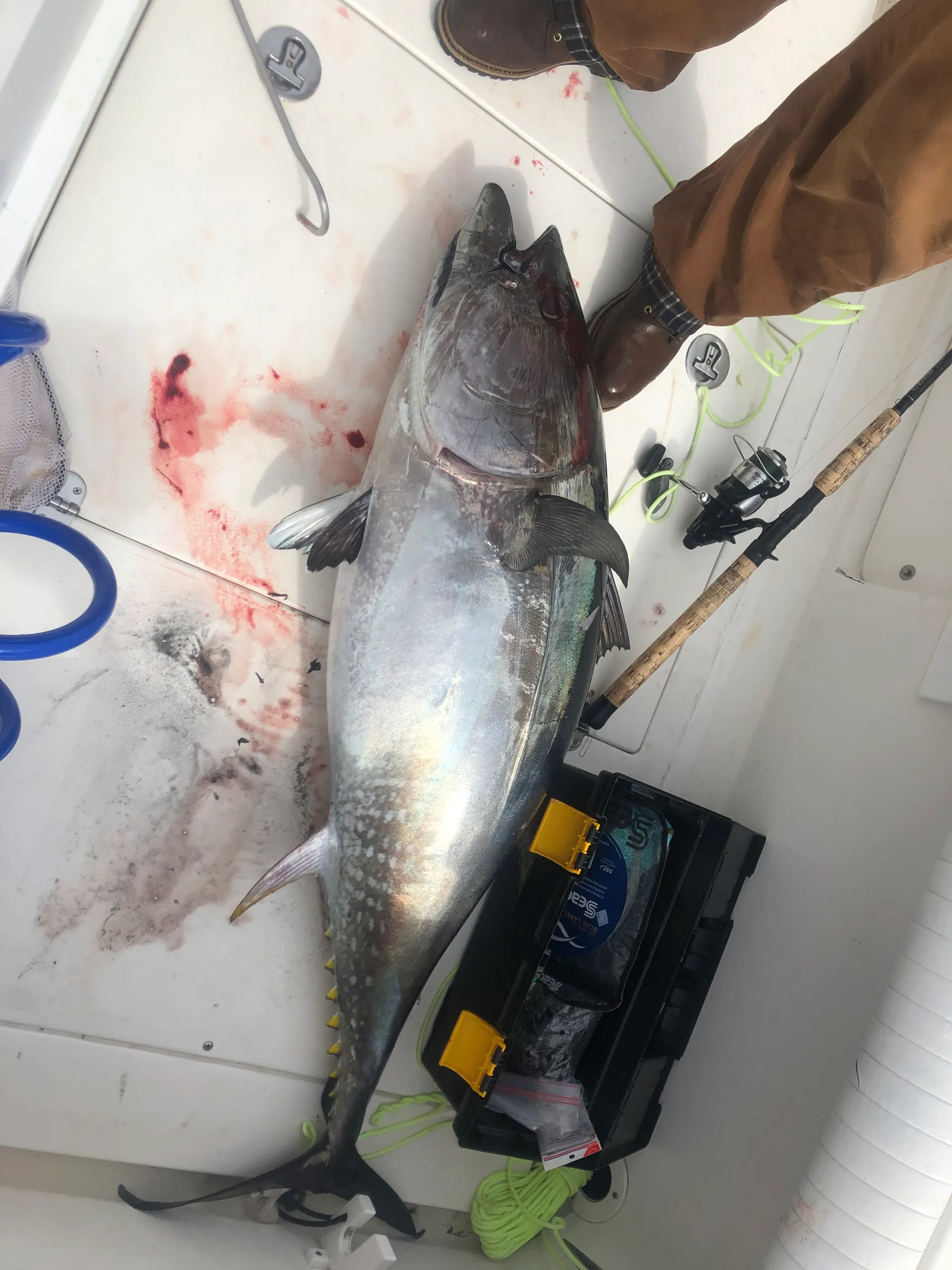 Albemarle Boats 310 Express Fisherman in Scituate, MA — photo 10
