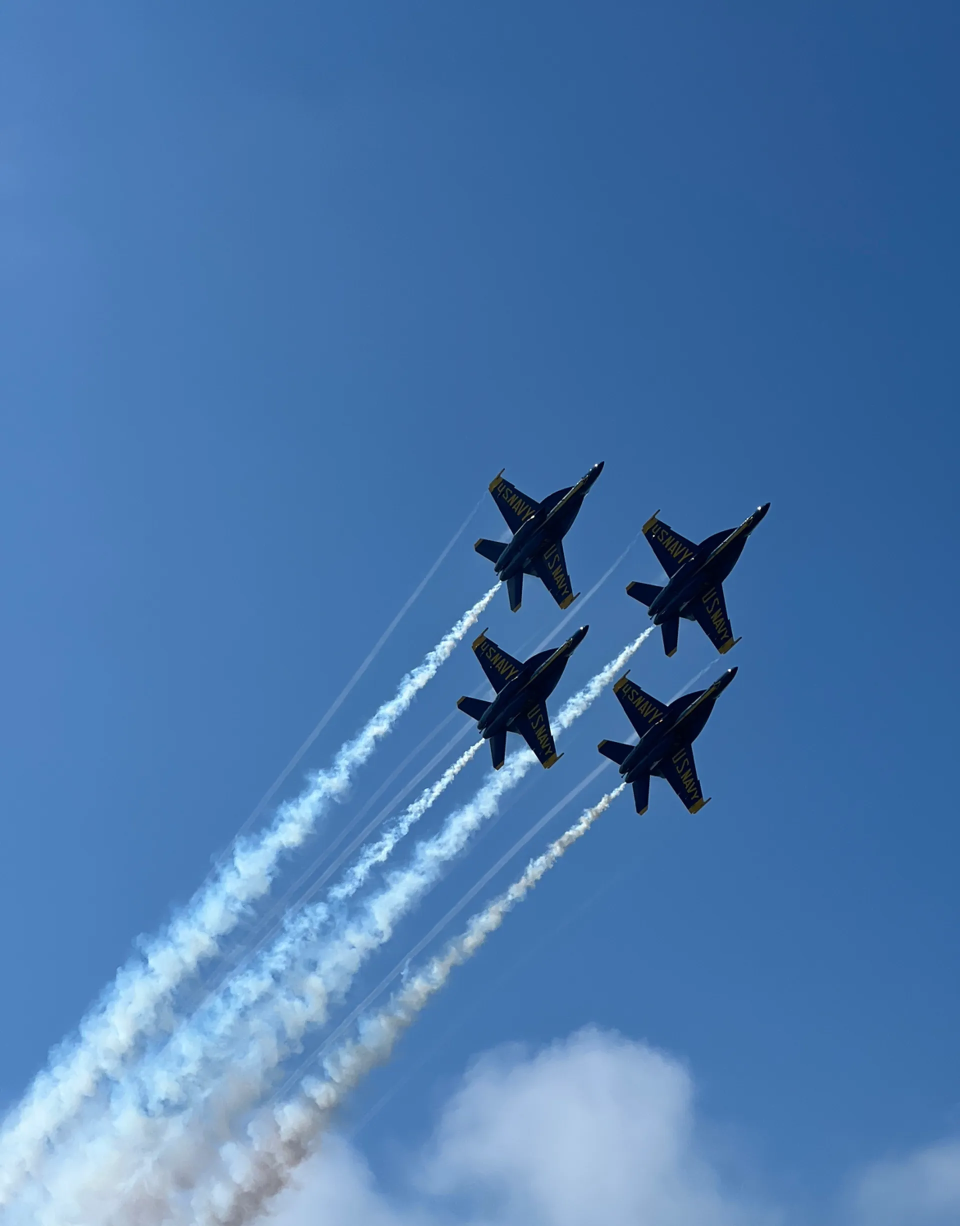 Ultimate Luxury Yacht Experience- Dance, Sun, and Unforgettable Party