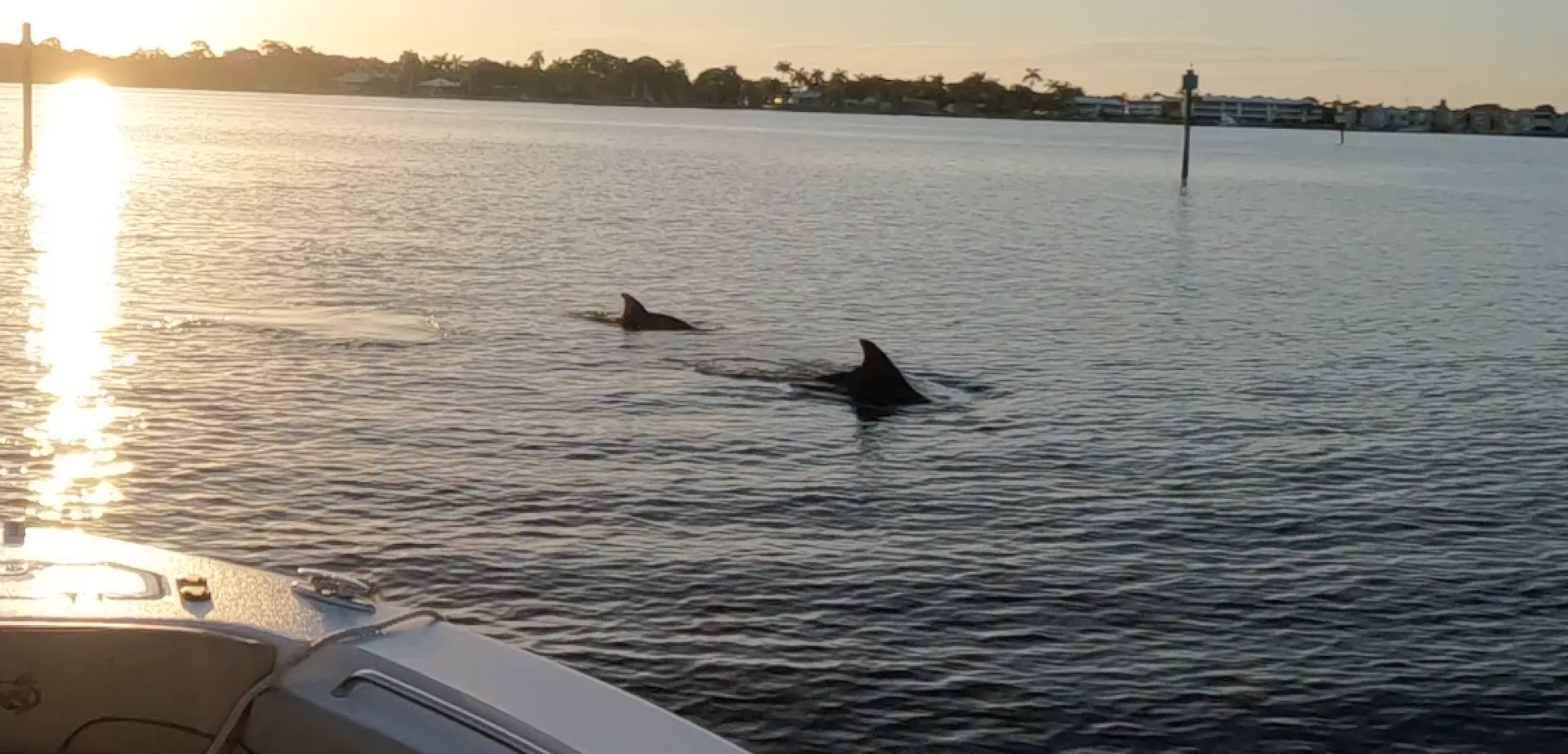 25' Twin Engine Center Console - Perfect for Sandbar or Fishing!