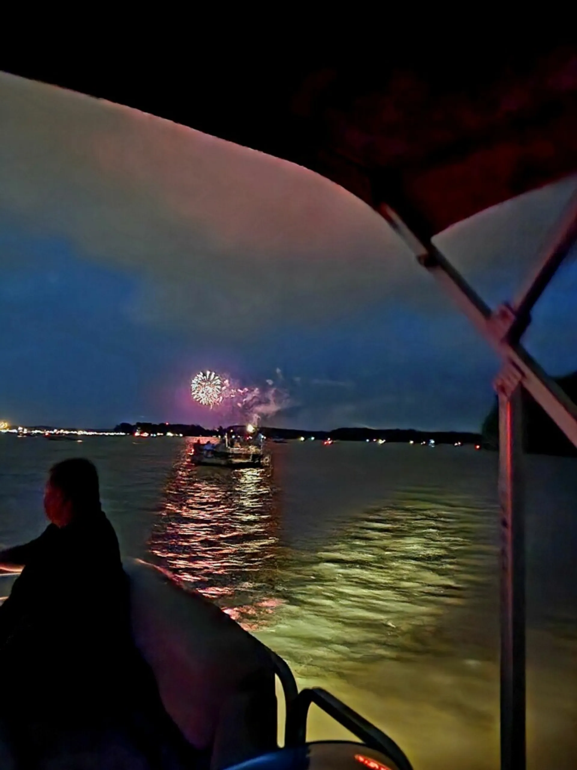 Avalon Somerset 12-Person Pontoon w/Bimini, Bluetooth and More!