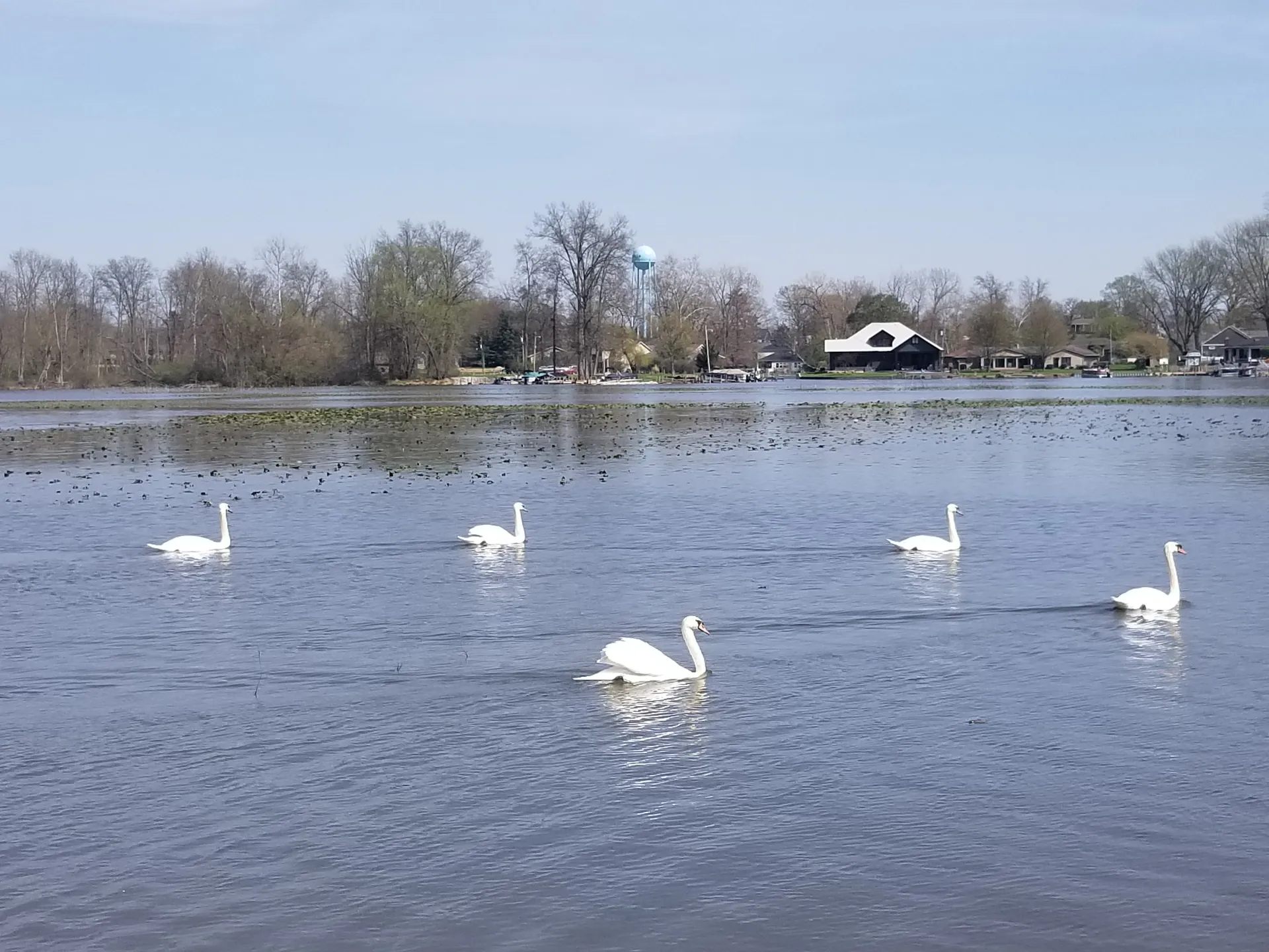Avalon Somerset 12-Person Pontoon w/Bimini, Bluetooth and More!