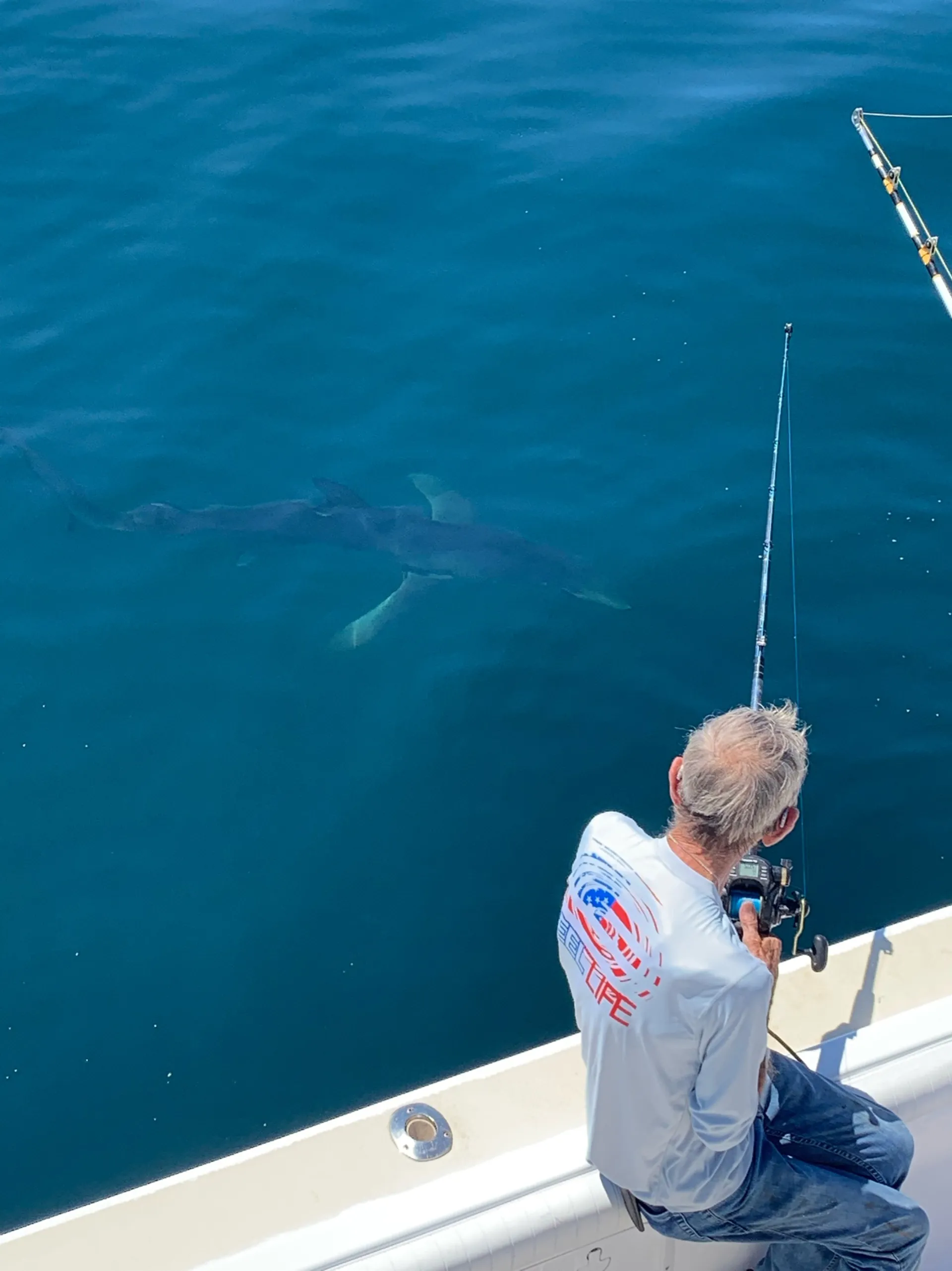 Unmatched Stability and Serious Sportfishing: 40' Sportfish Catamaran