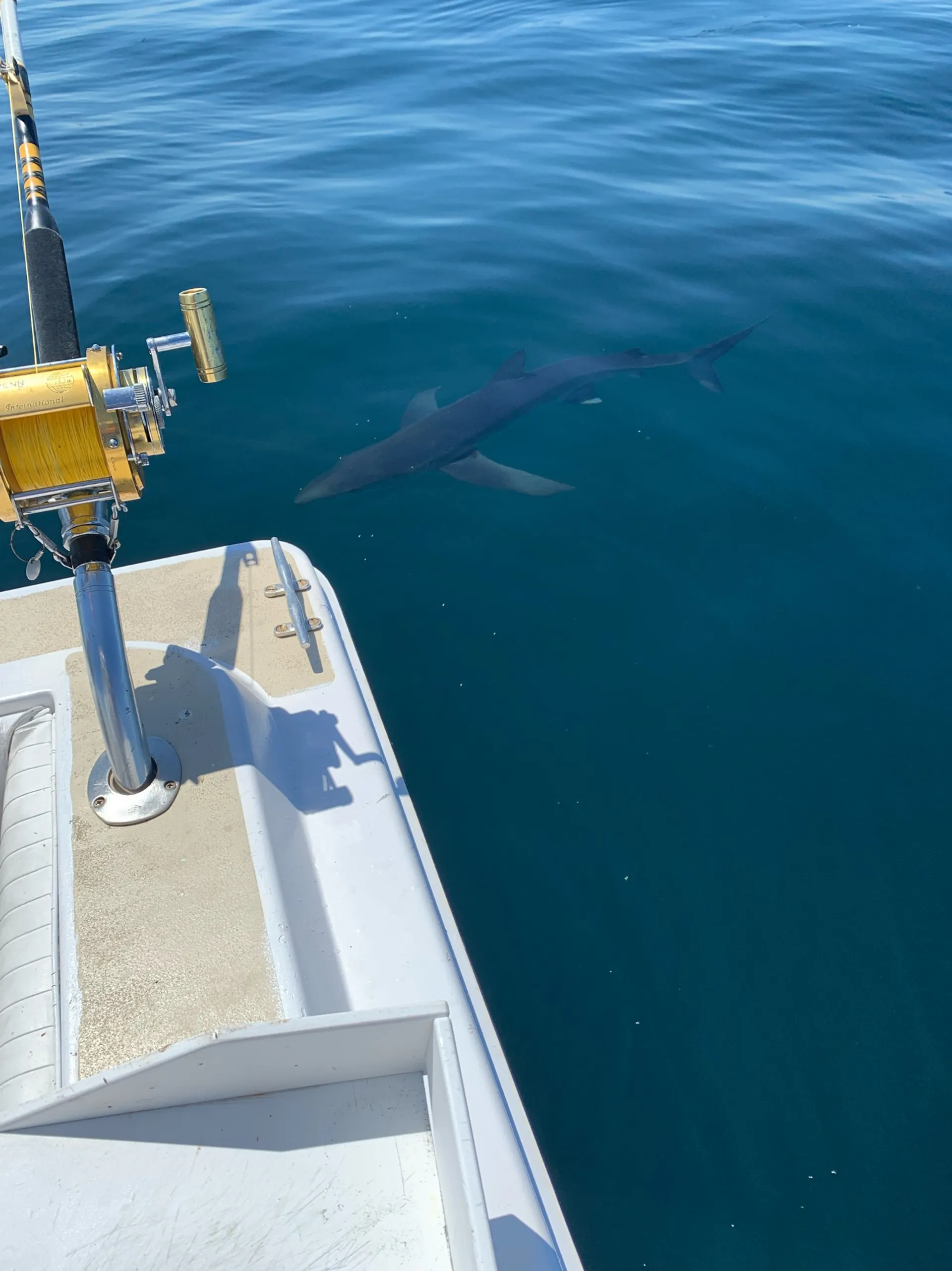 Unmatched Stability and Serious Sportfishing: 40' Sportfish Catamaran