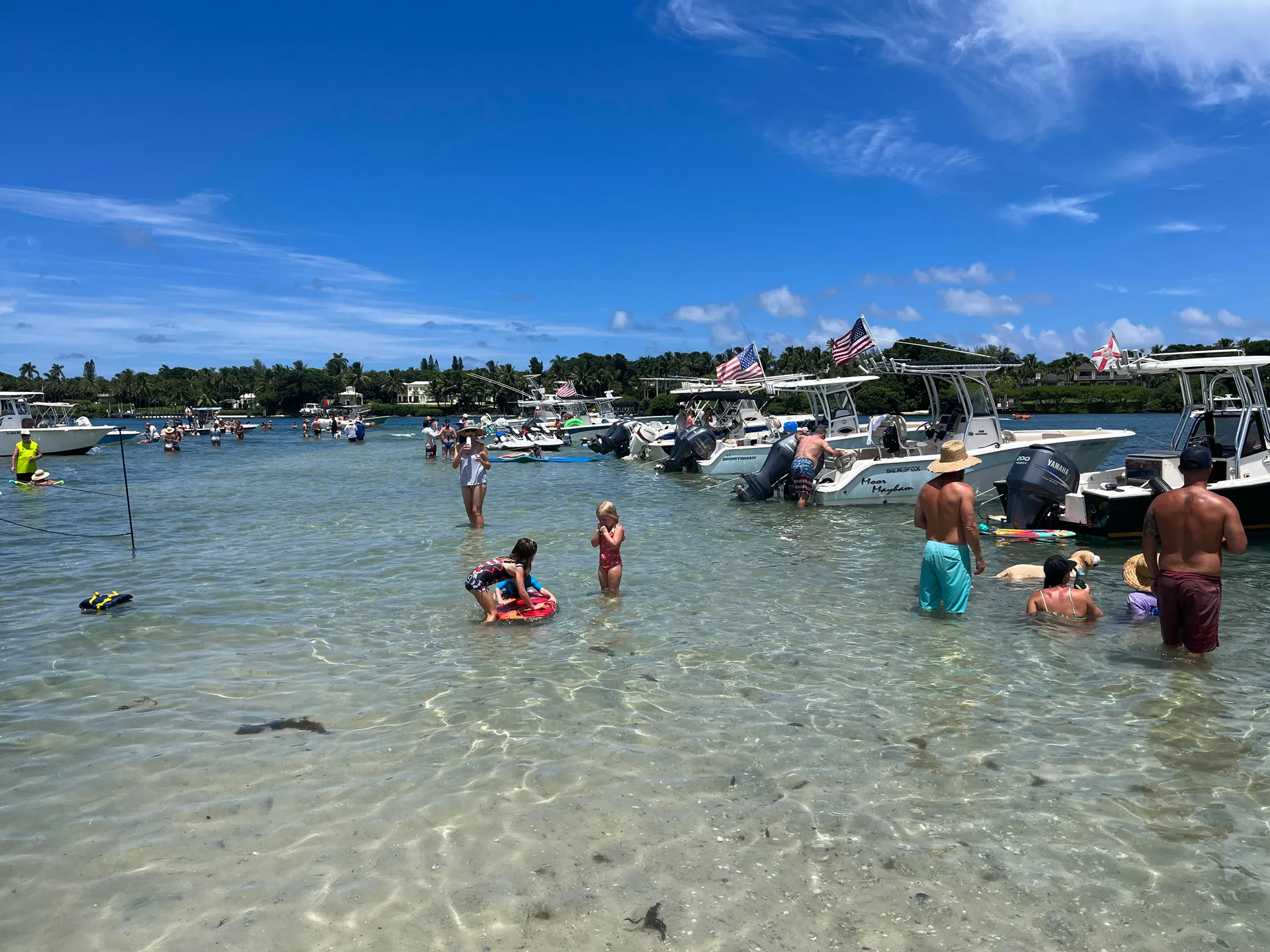 Captain Included for 6. Dogs Welcome, Grill on Board, Free Fuel !!!