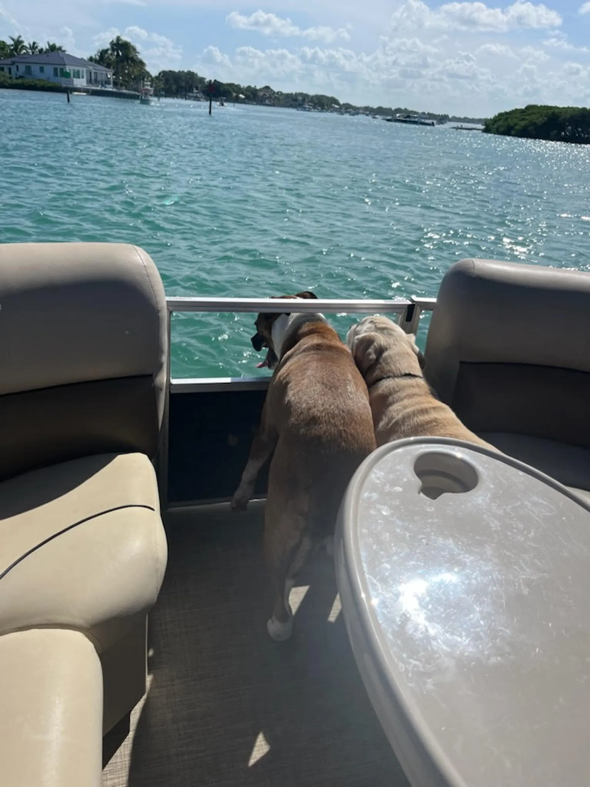 Captain Included for 6. Dogs Welcome, Grill on Board, Free Fuel !!!