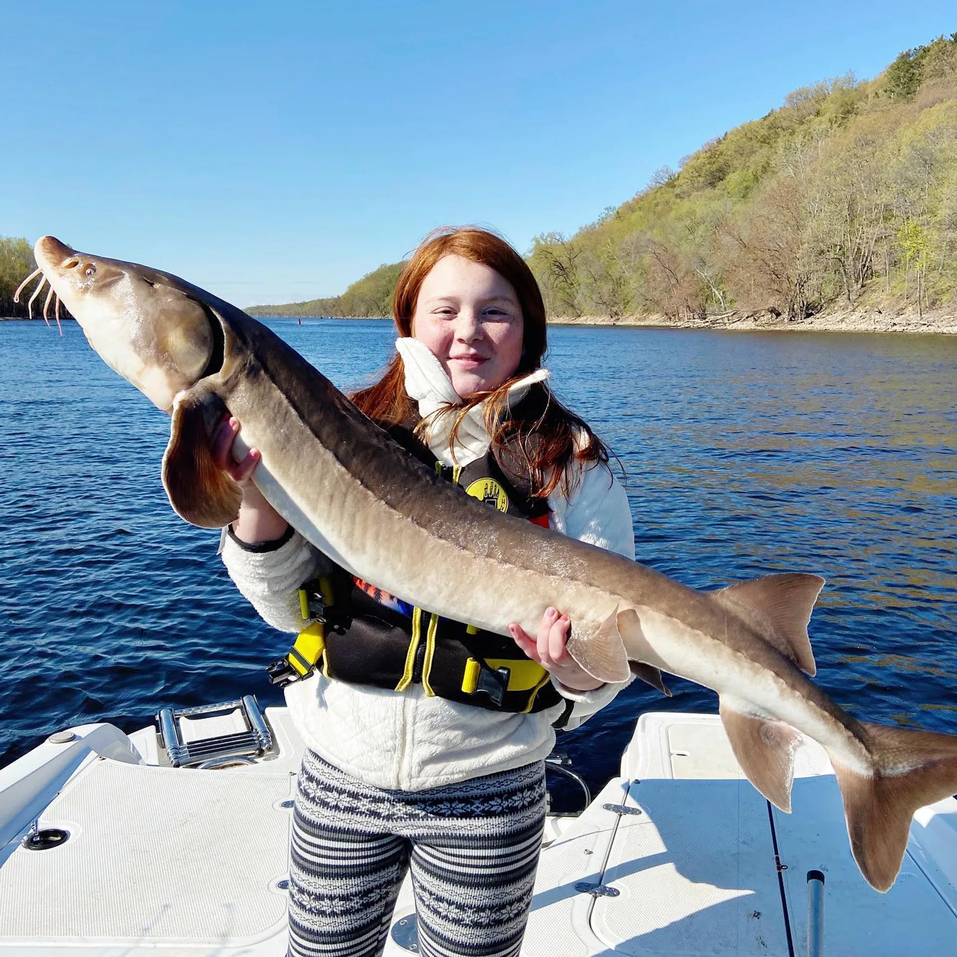TAHOE BY TRACKER MARINE 550 TF W/150XL 4-S W/TRLR in Afton, MN — photo 6