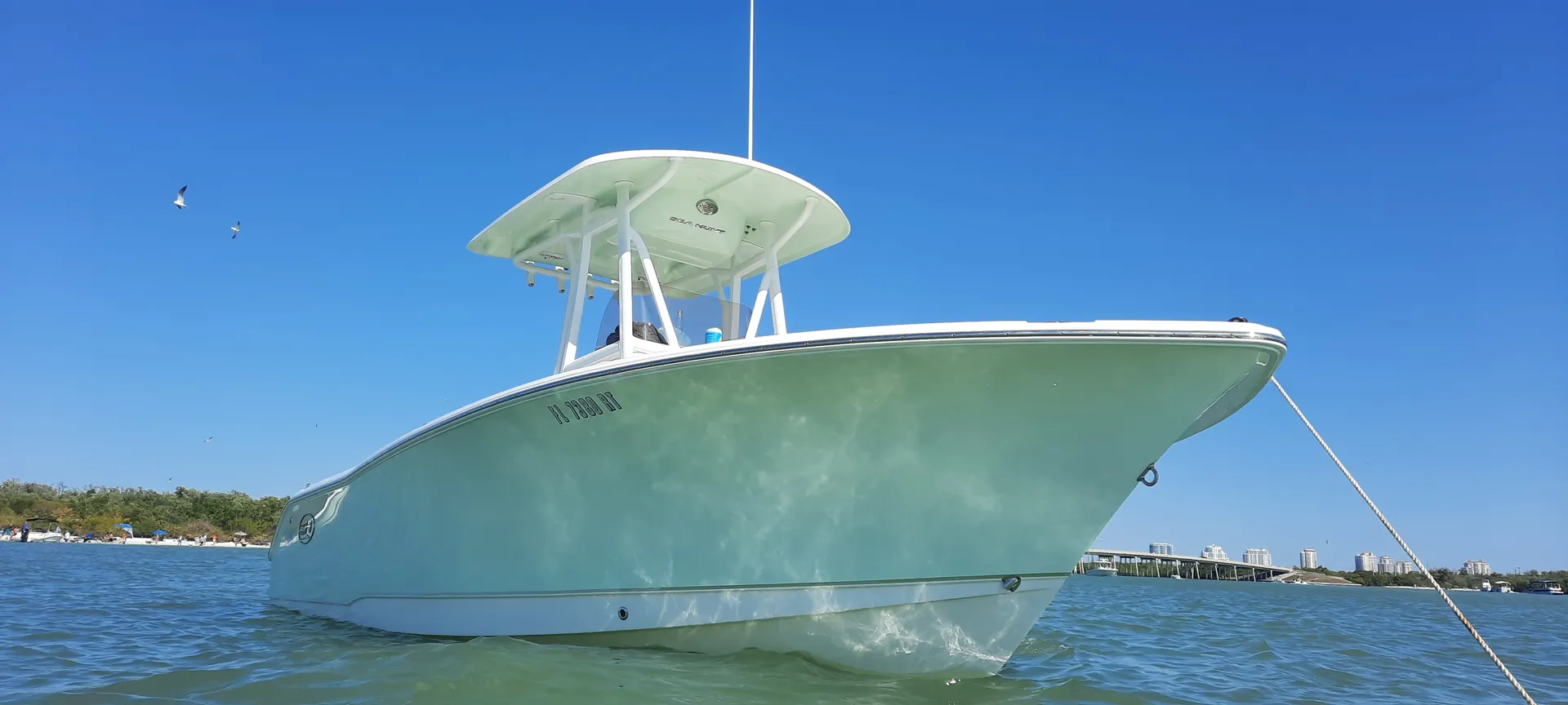 boat