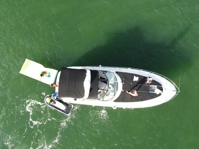 Rent a Sea Ray Boats motor yacht in Miami, FL near me