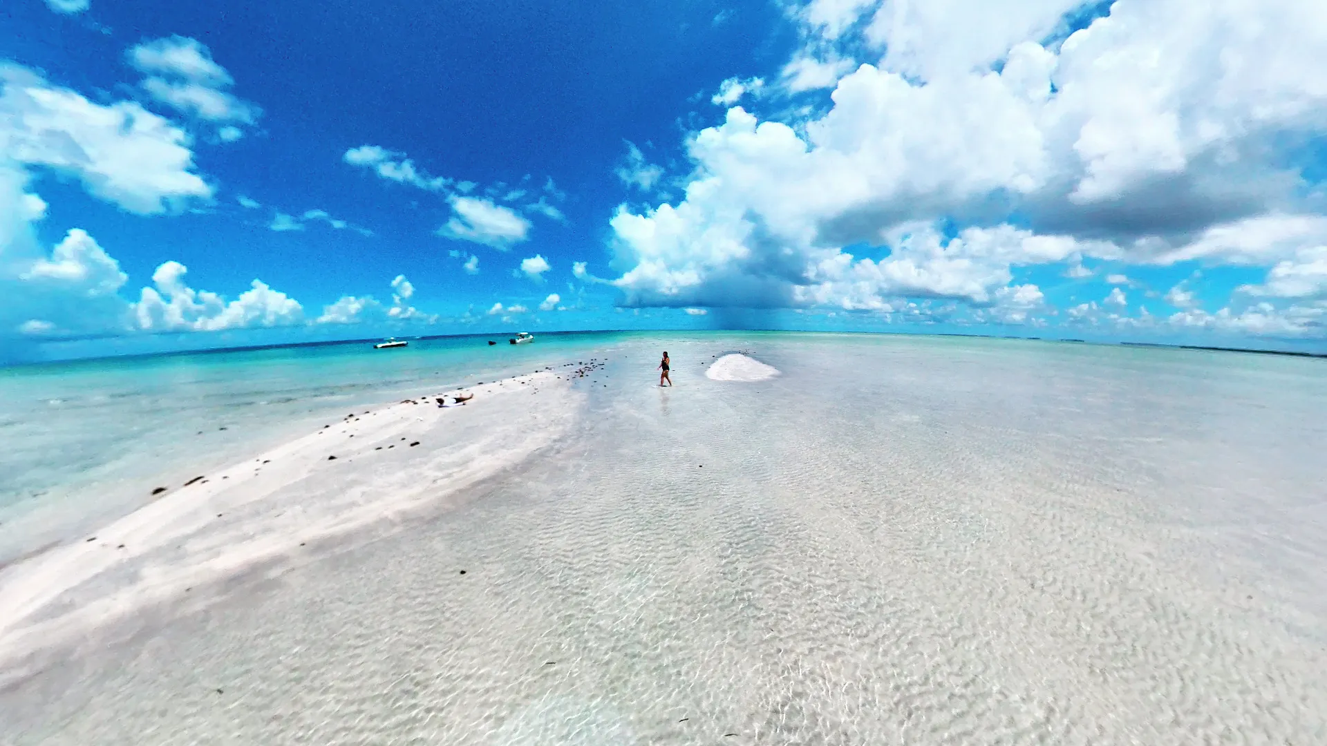 Reef snorkeling and Sandbar Tour